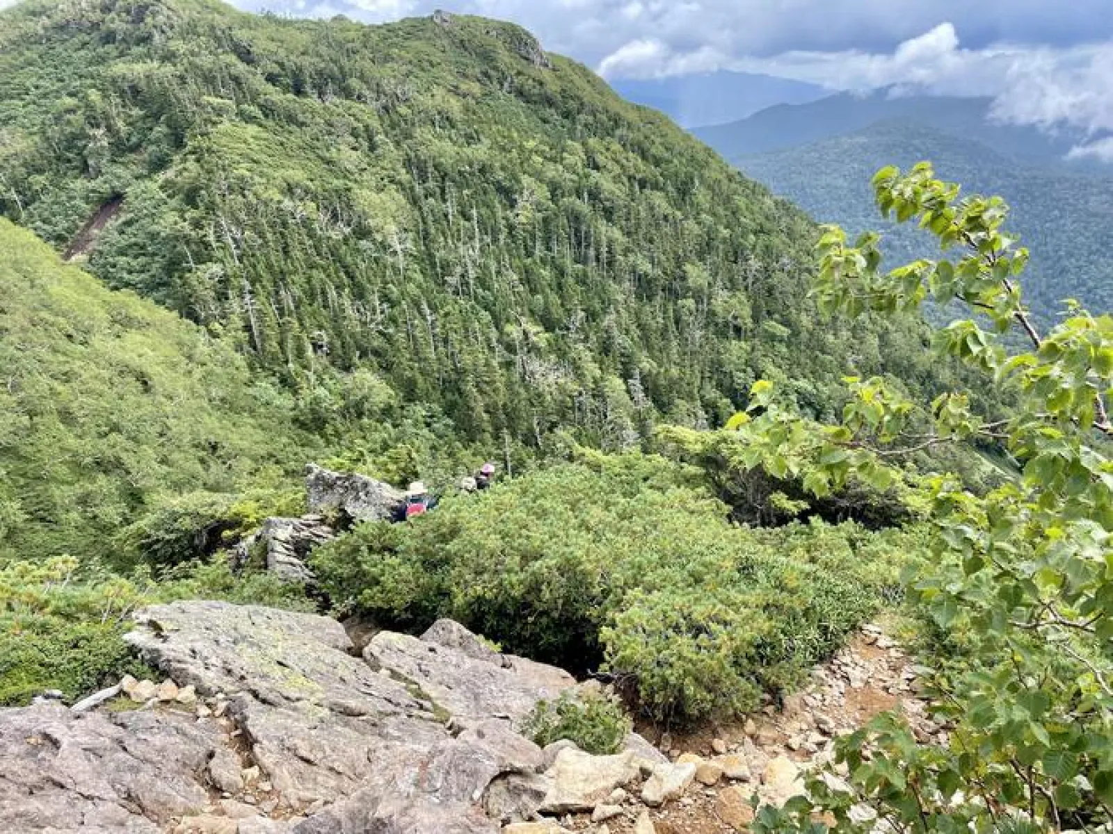 燧ヶ岳　見晴新道