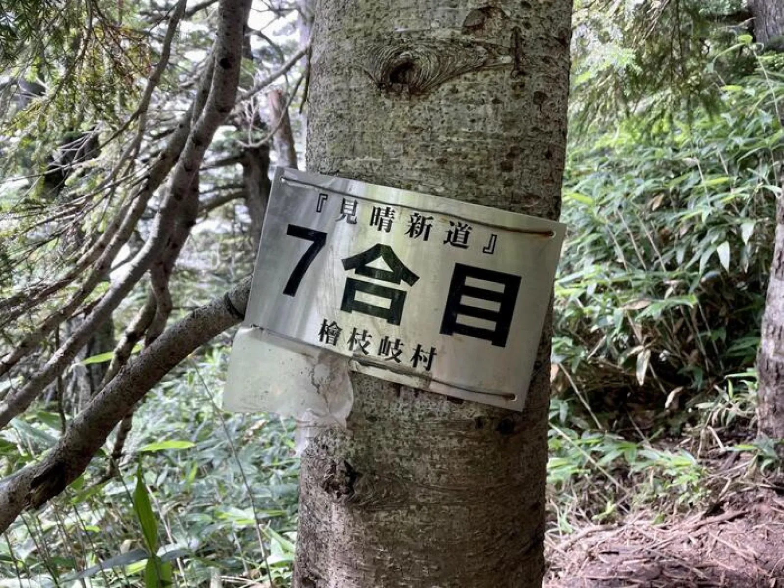 燧ヶ岳　見晴新道