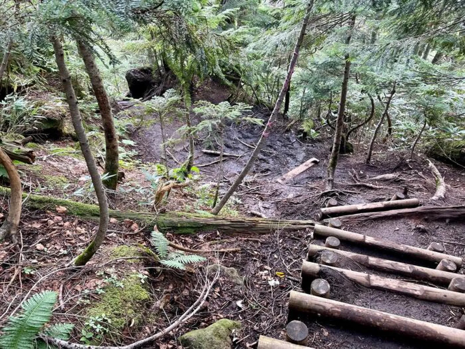 燧ヶ岳　見晴新道