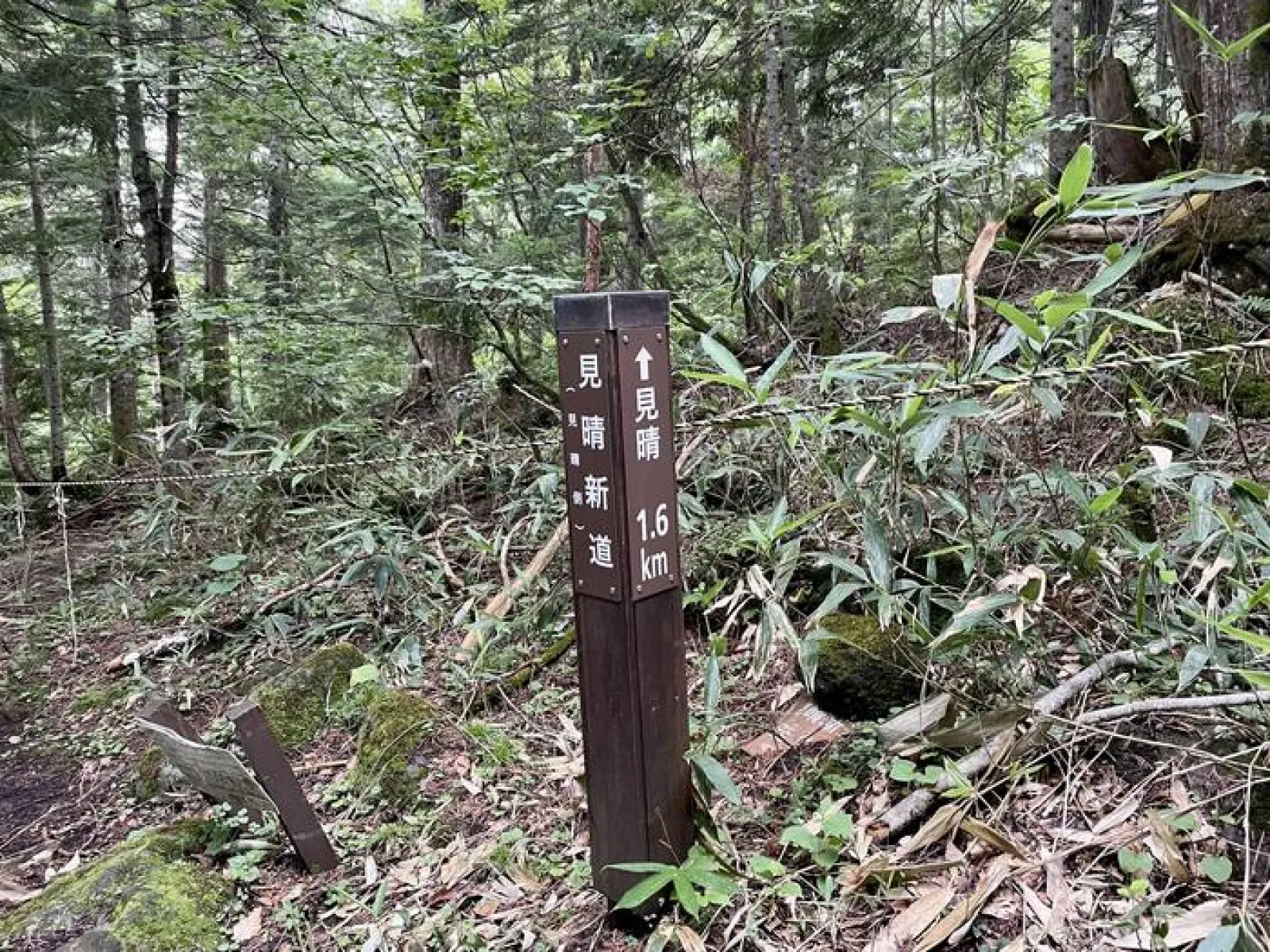 燧ヶ岳　見晴新道