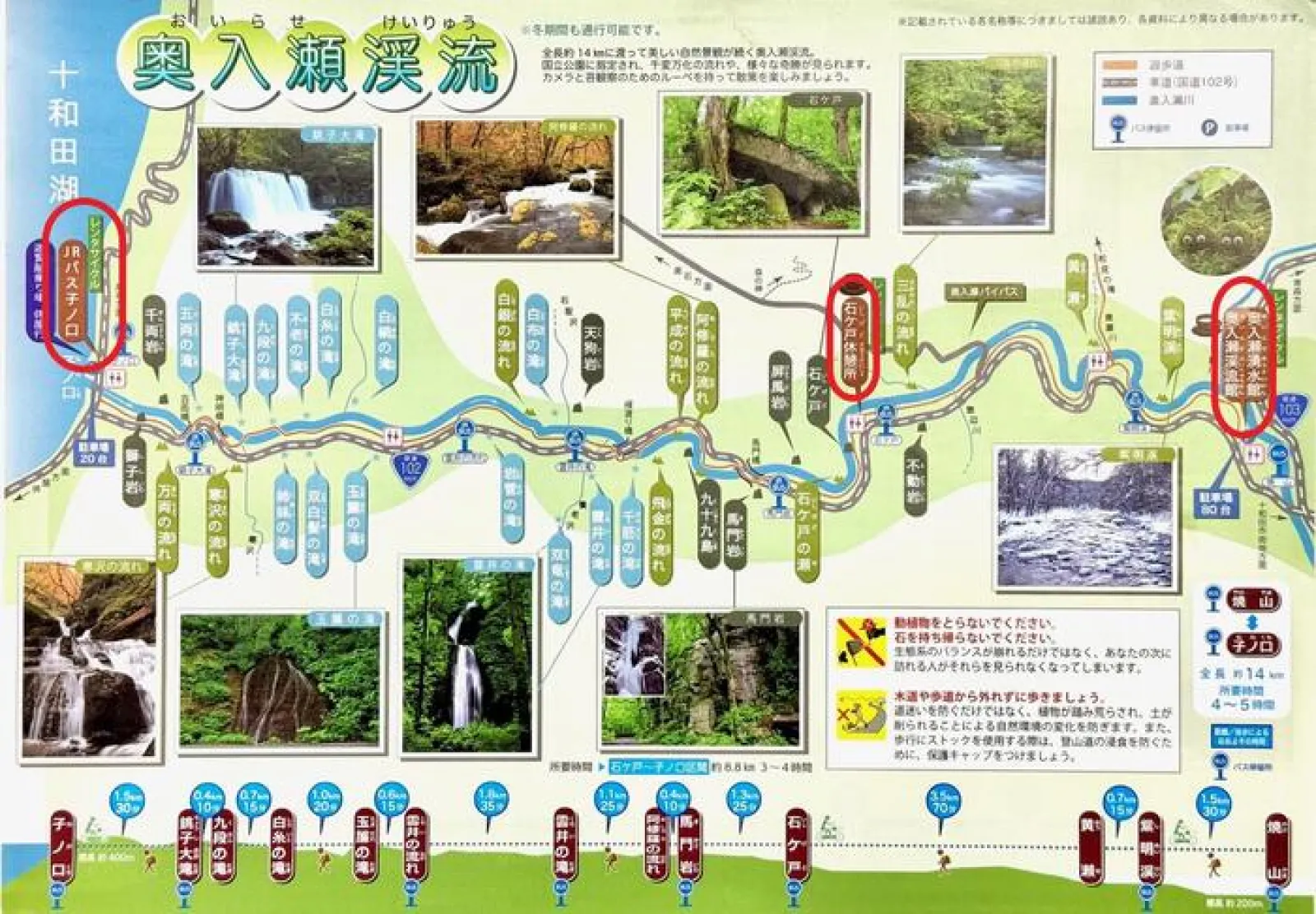 奥入瀬渓流