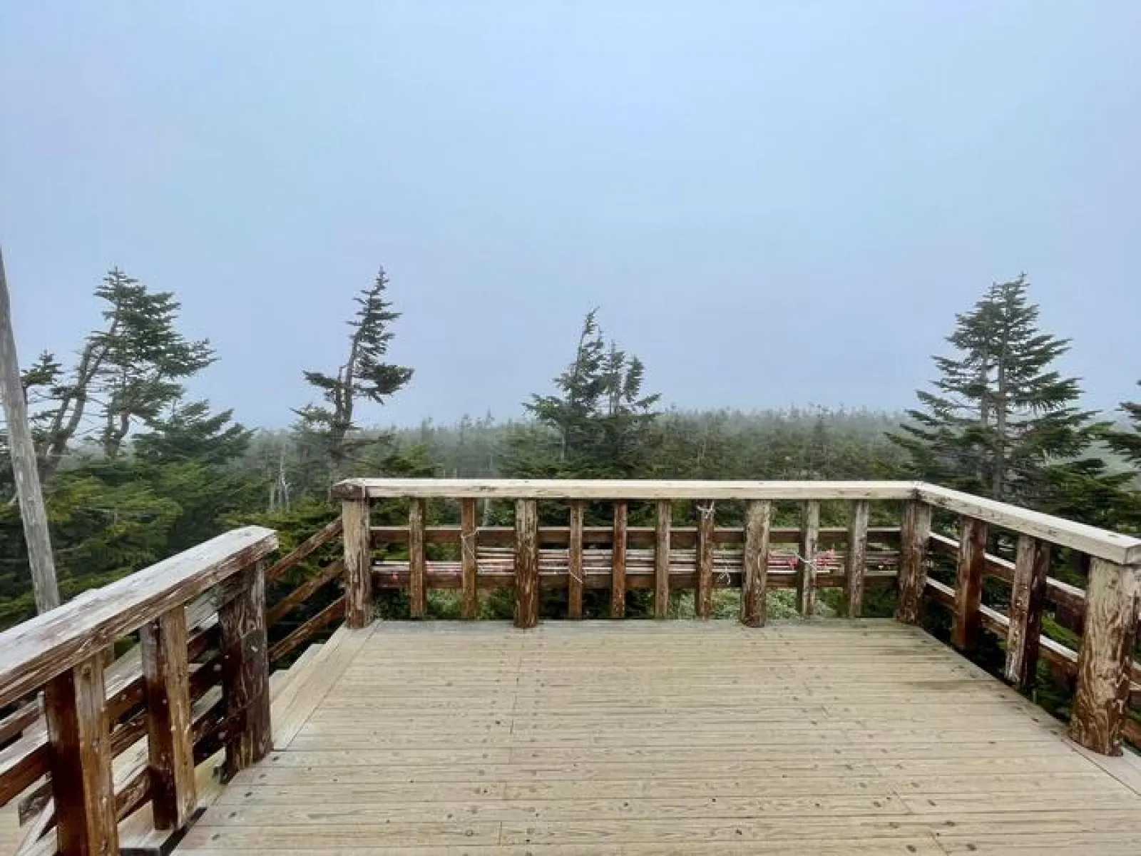 八幡平　山頂