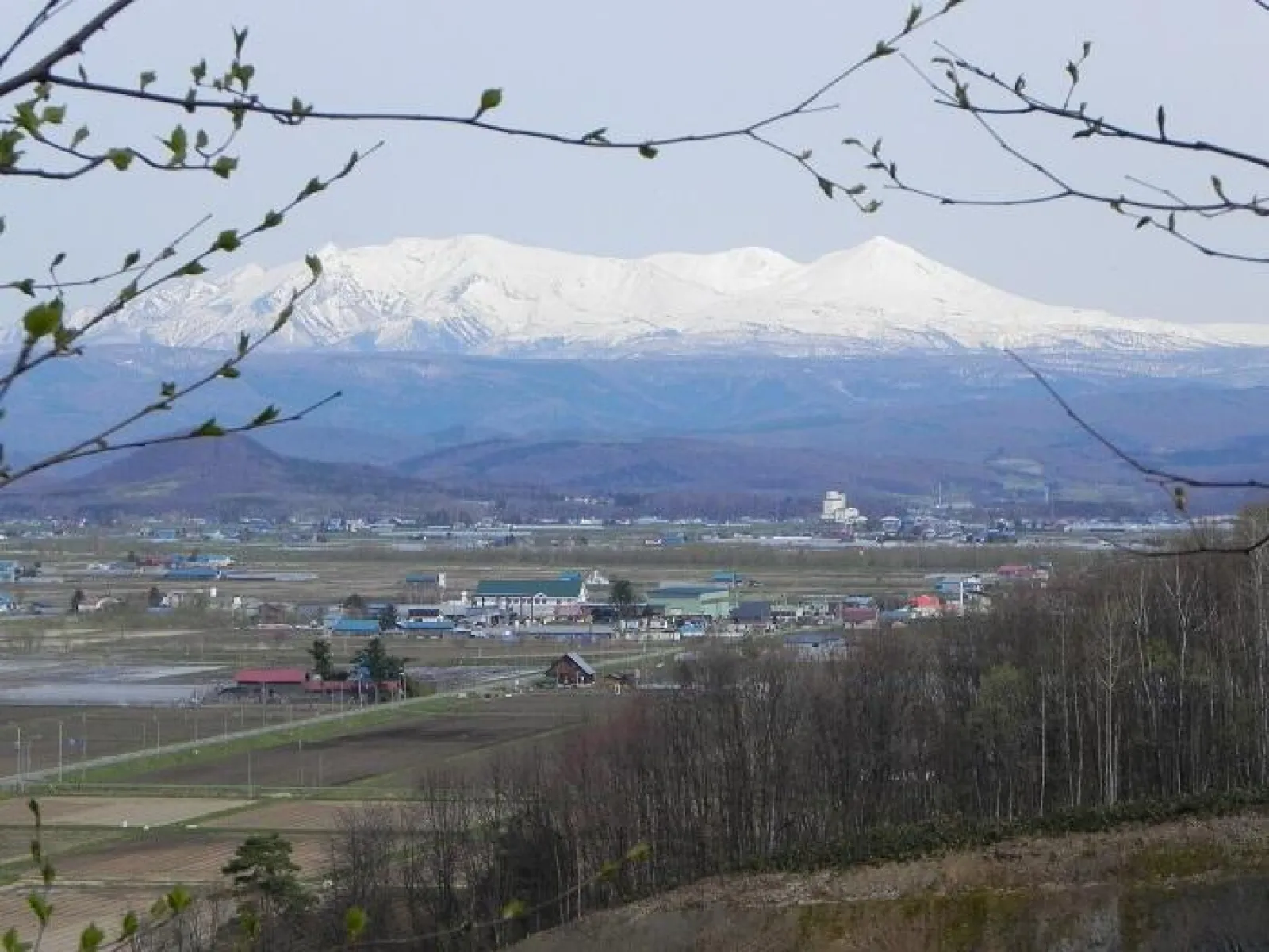 残雪を抱いた大雪山の連なり