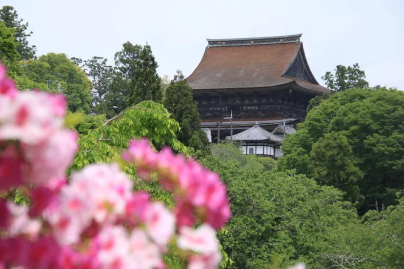 【私の好きな日本遺産】奈良県「吉野」は、自然と人の共生を垣間見られる奥大和の原風景