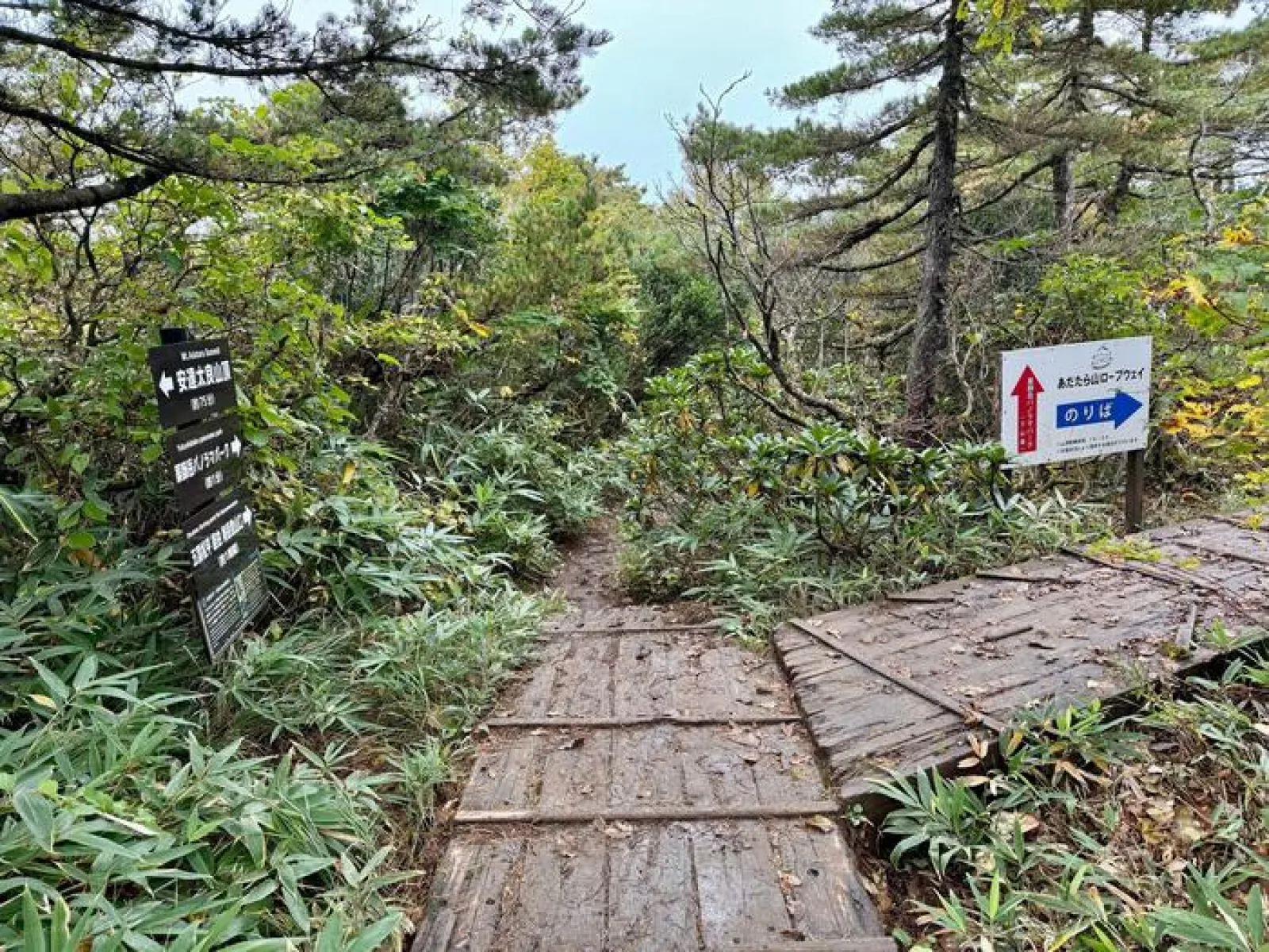 安達太良山　登山道