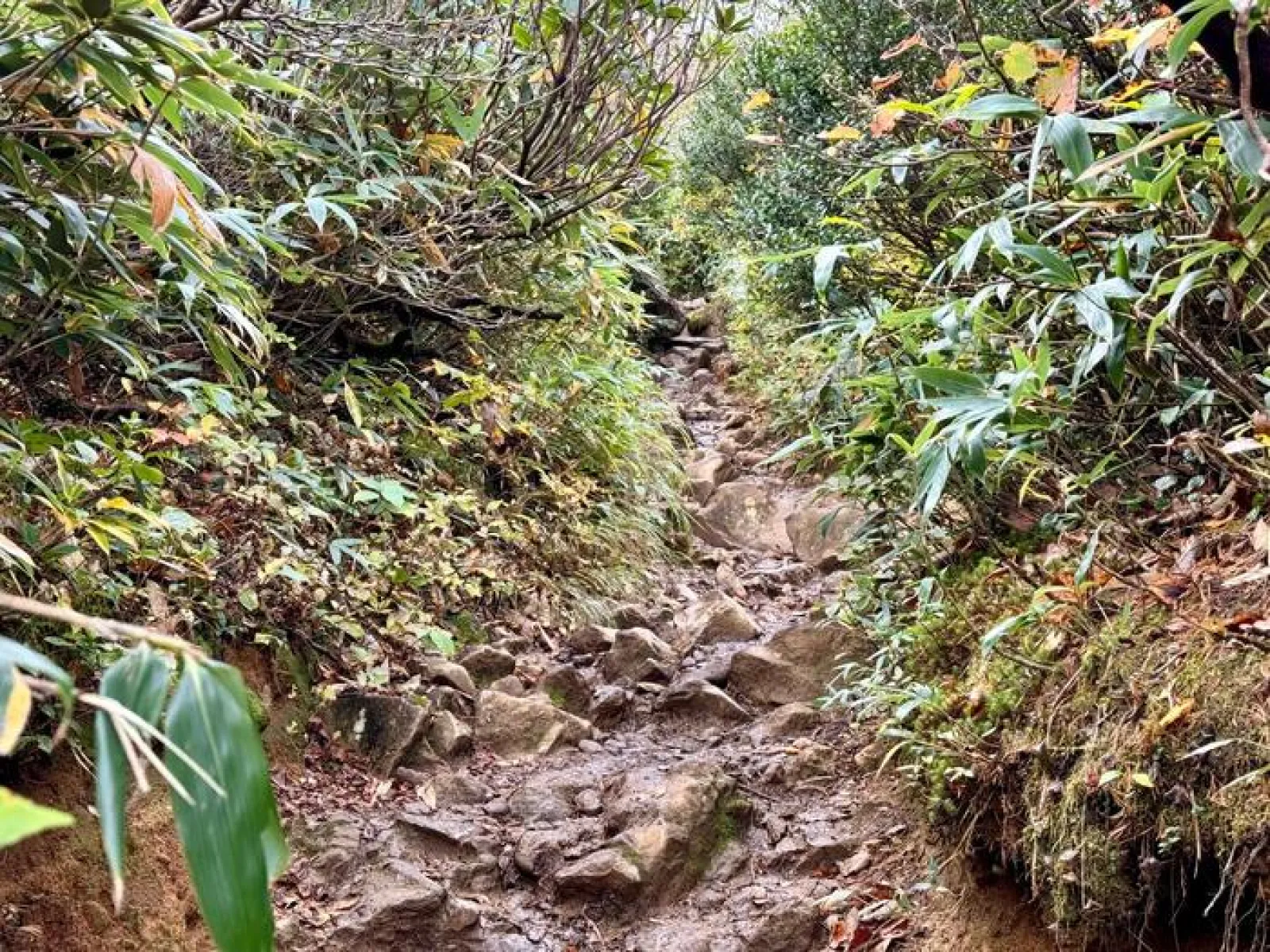 安達太良山　登山道