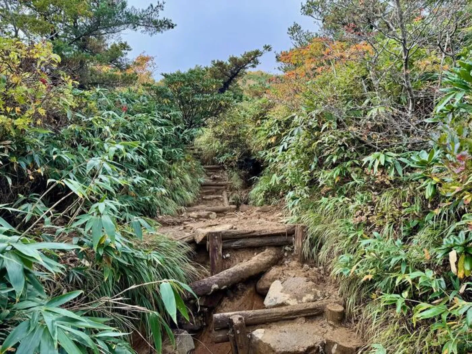 安達太良山　登山道