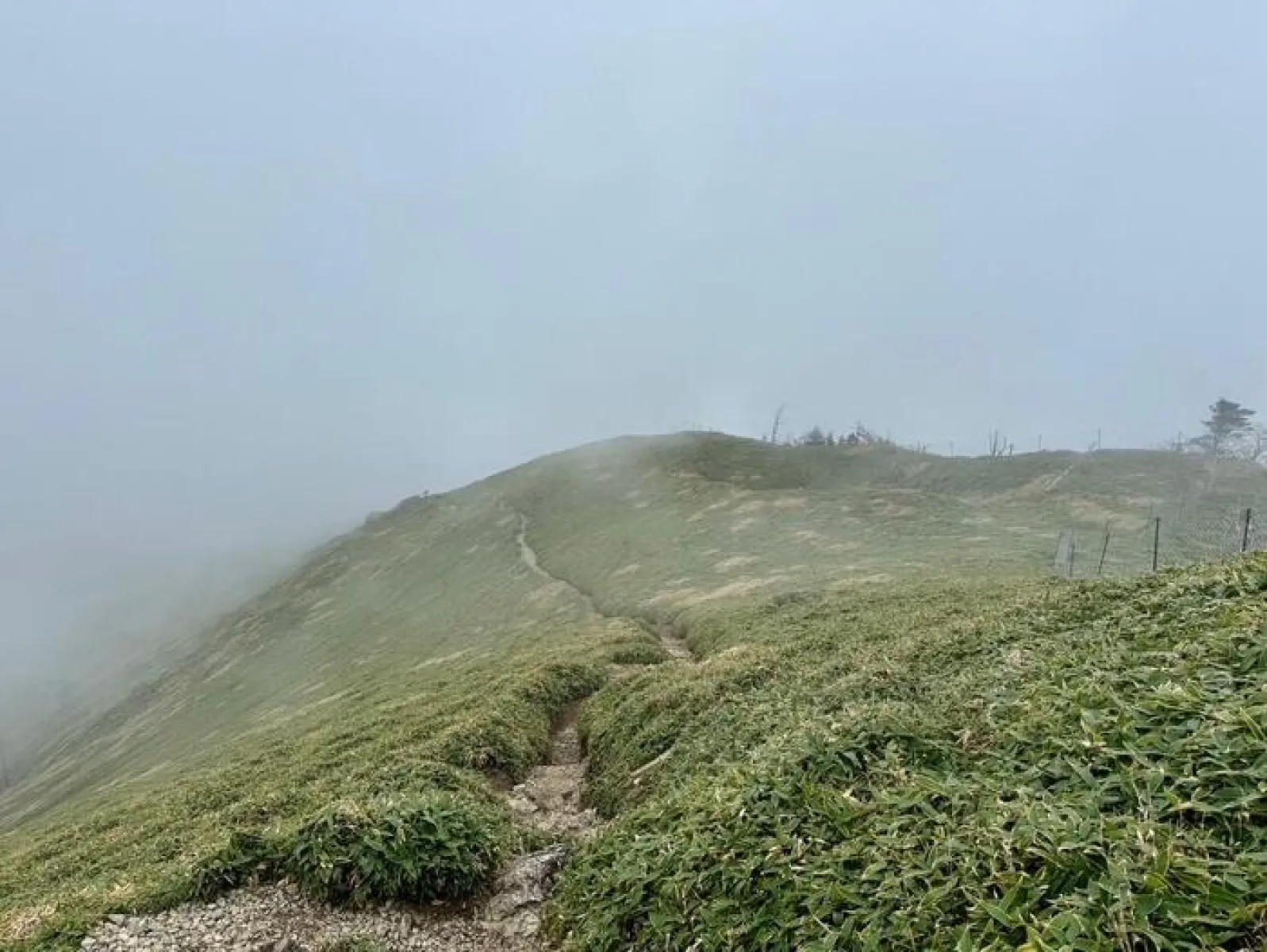 剣山　遊歩道コース