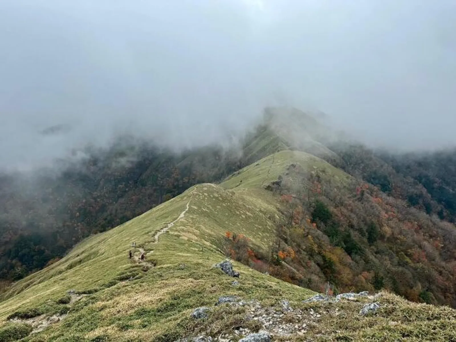 剣山　遊歩道コース