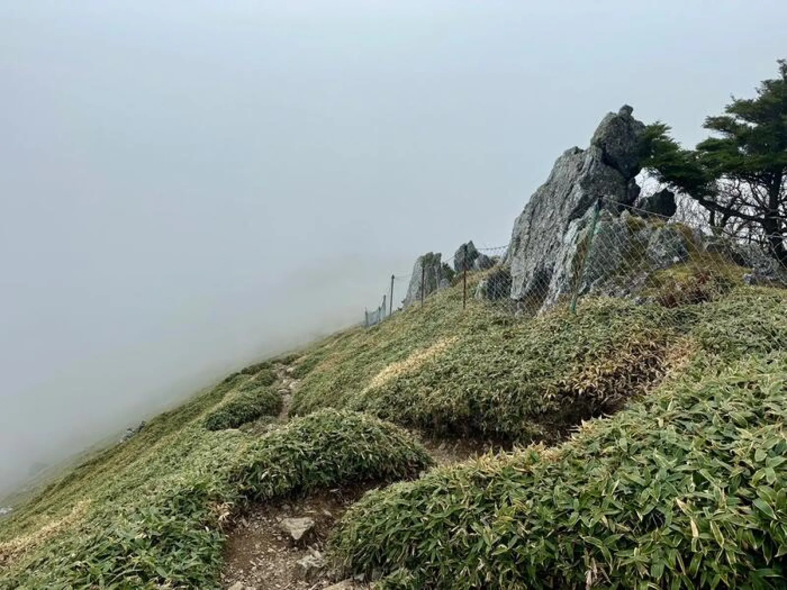 剣山　遊歩道コース