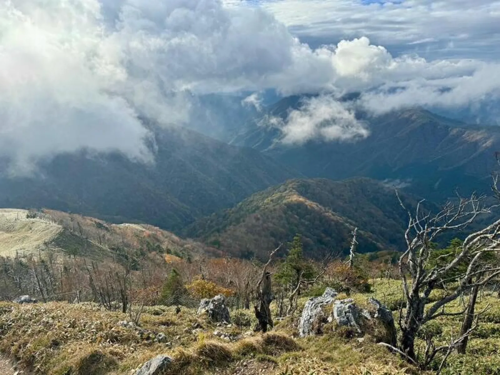 剣山　遊歩道コース