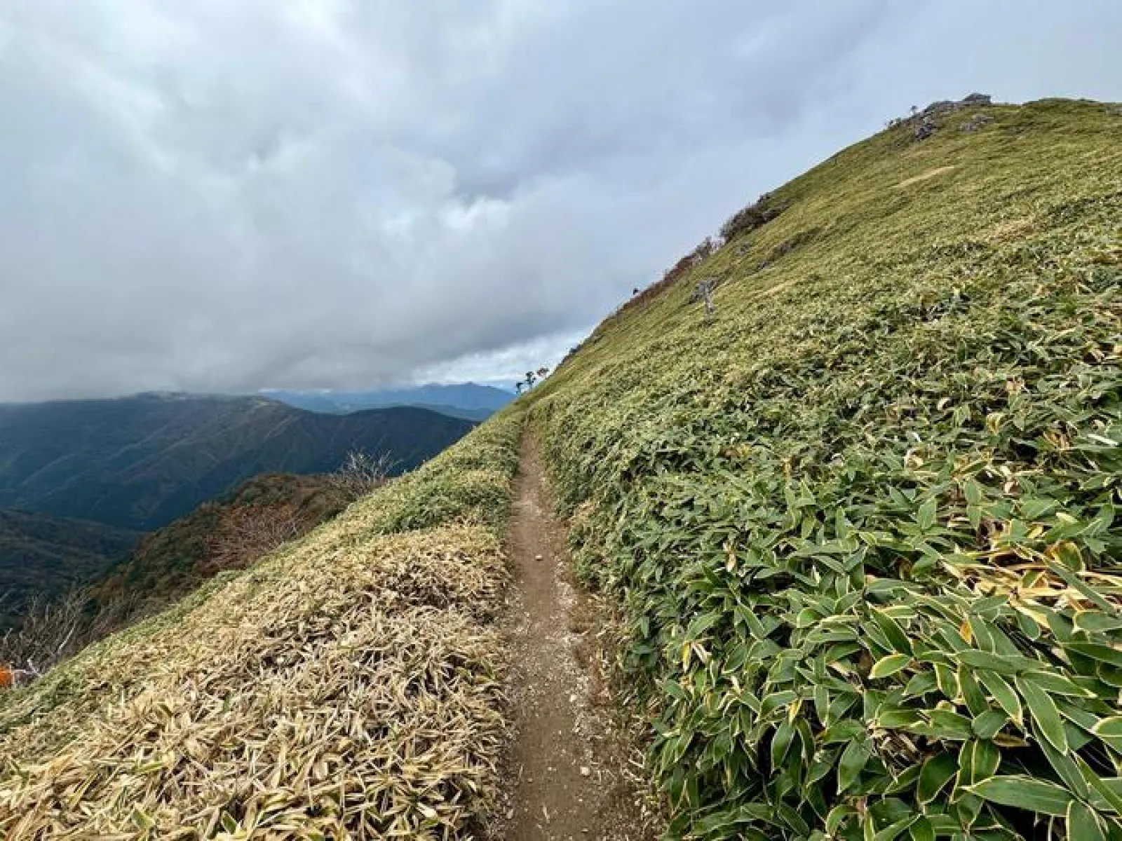 剣山　遊歩道コース