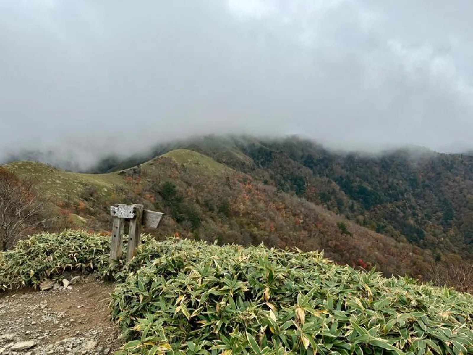 剣山　遊歩道コース　二度見展望台