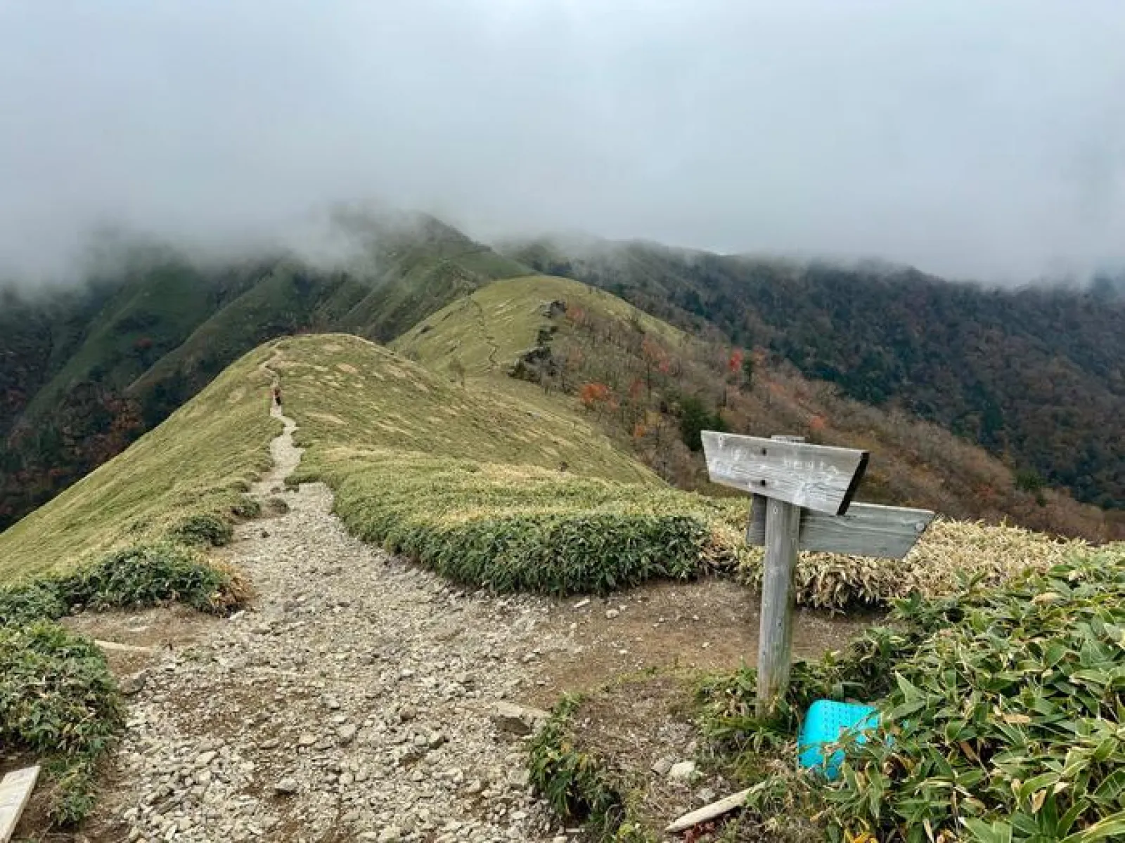 剣山　遊歩道コース