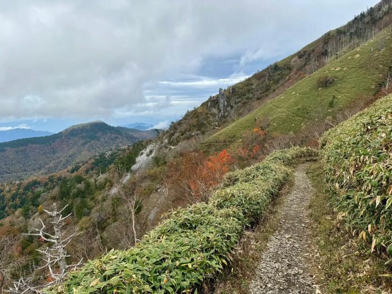 剣山　遊歩道コース
