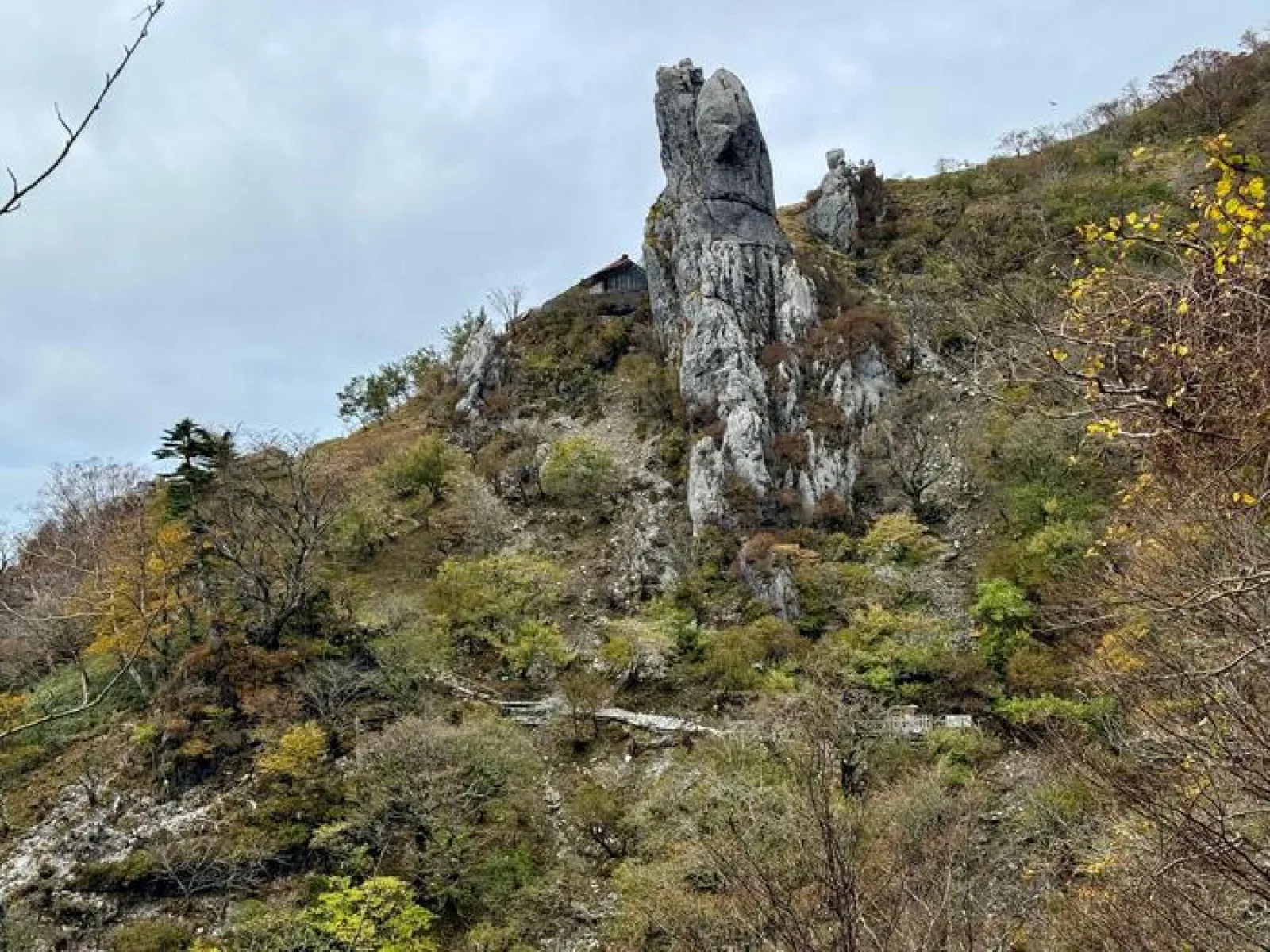 剣山　遊歩道コース　御塔石　大劔神社
