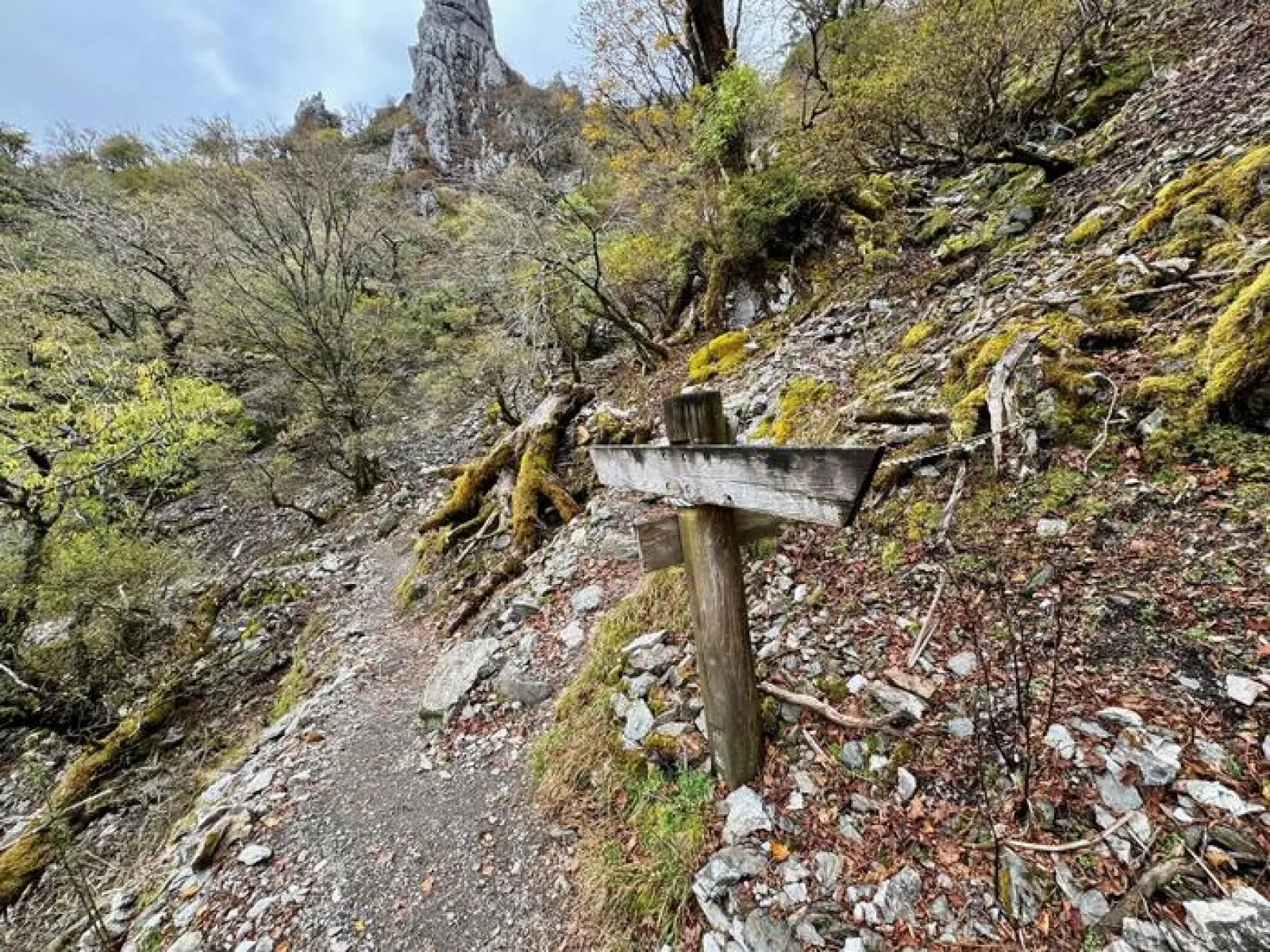 剣山　遊歩道コース