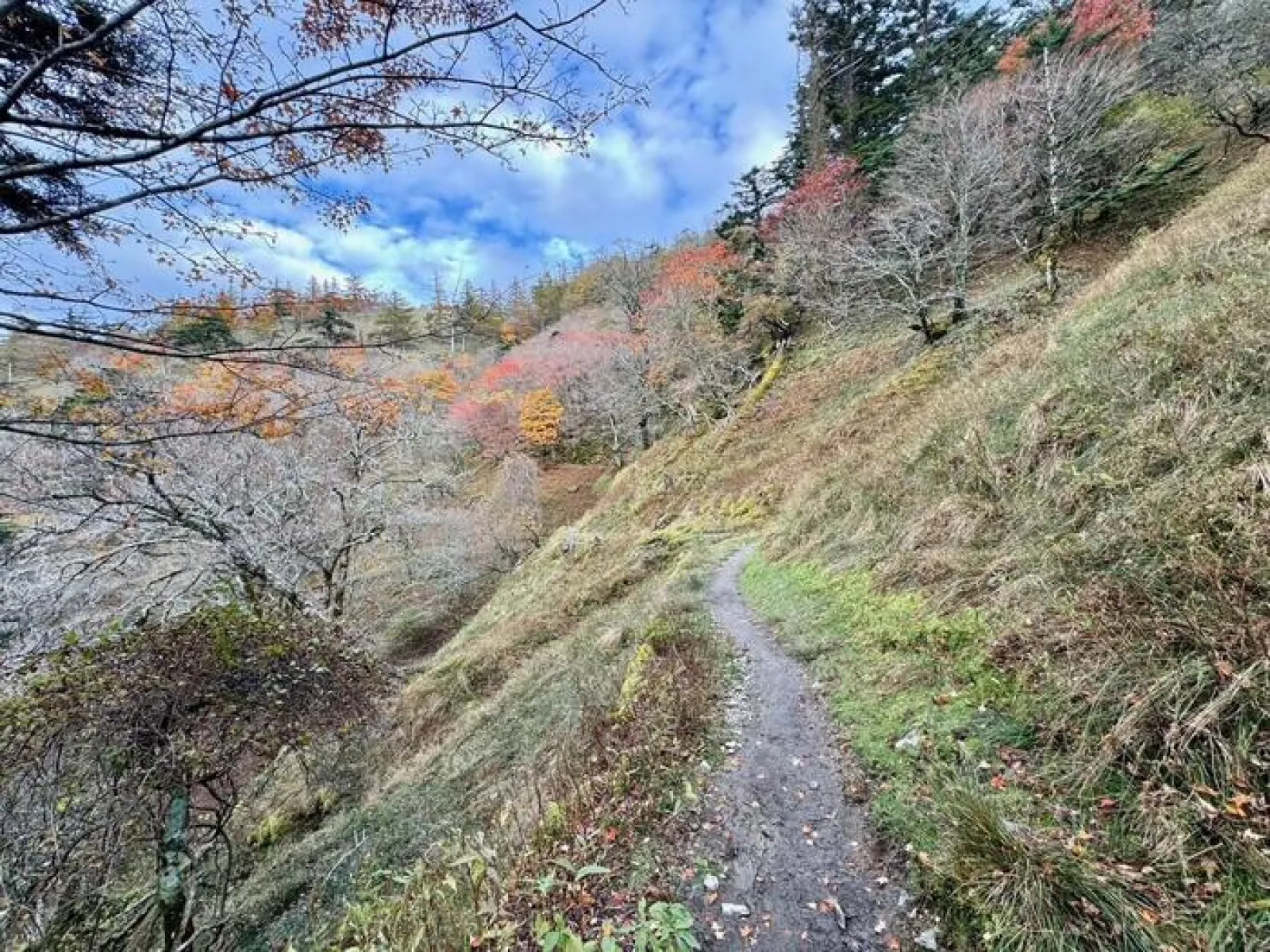 剣山　遊歩道コース
