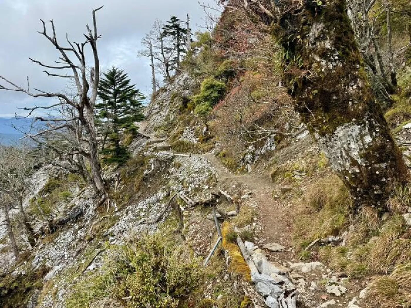 剣山　遊歩道コース