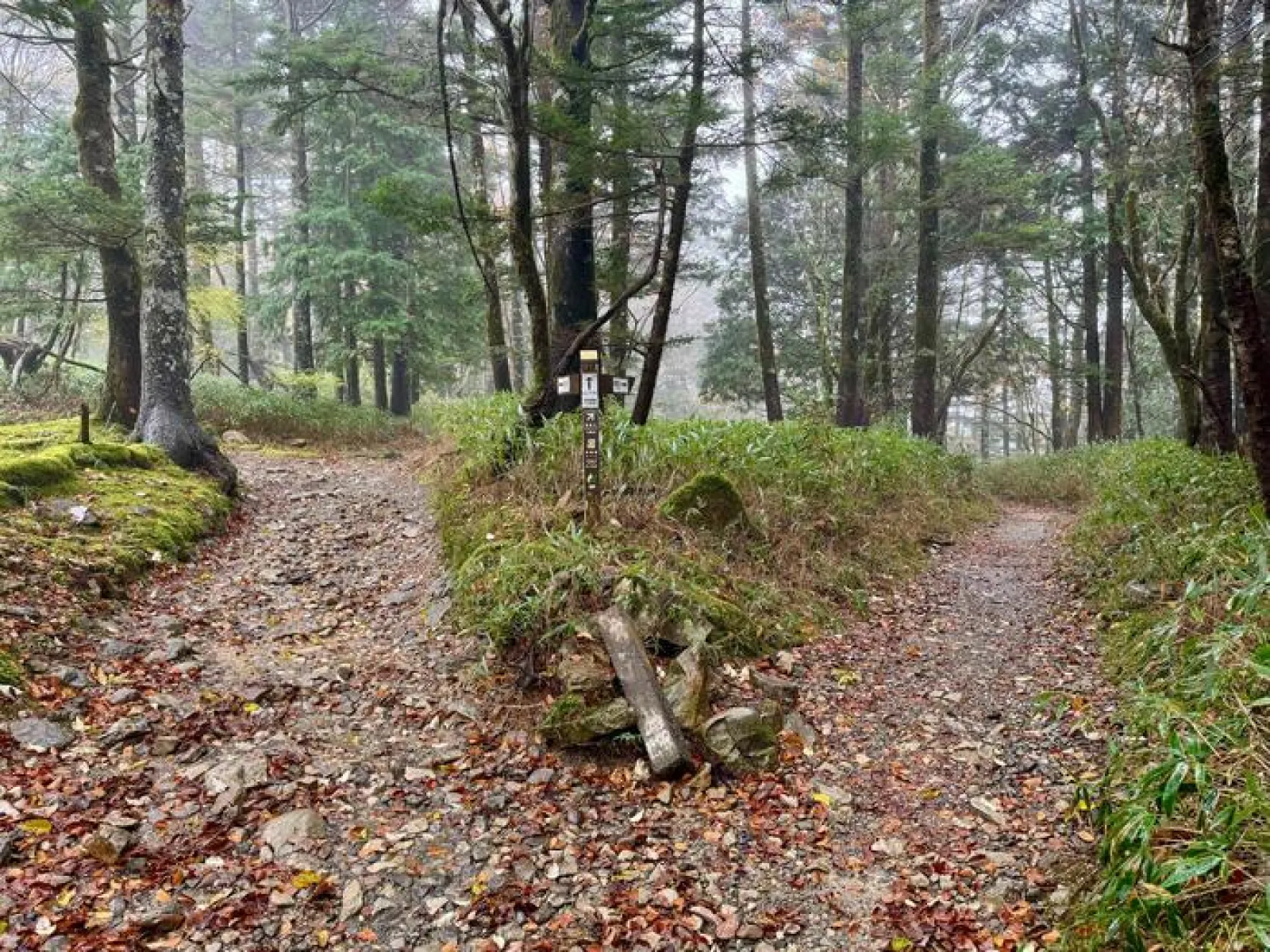 大台ヶ原山　登山道