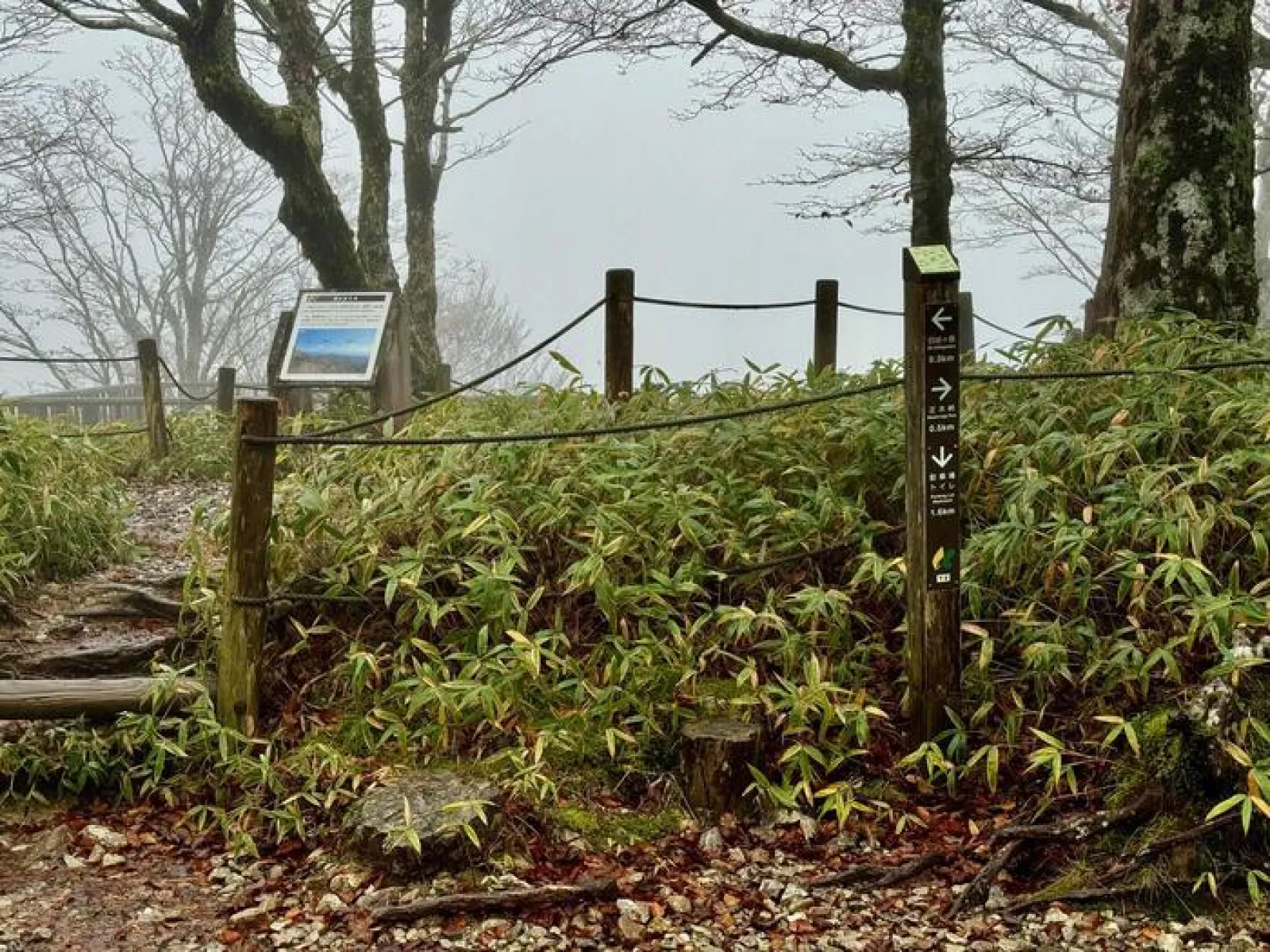 大台ヶ原山　登山道