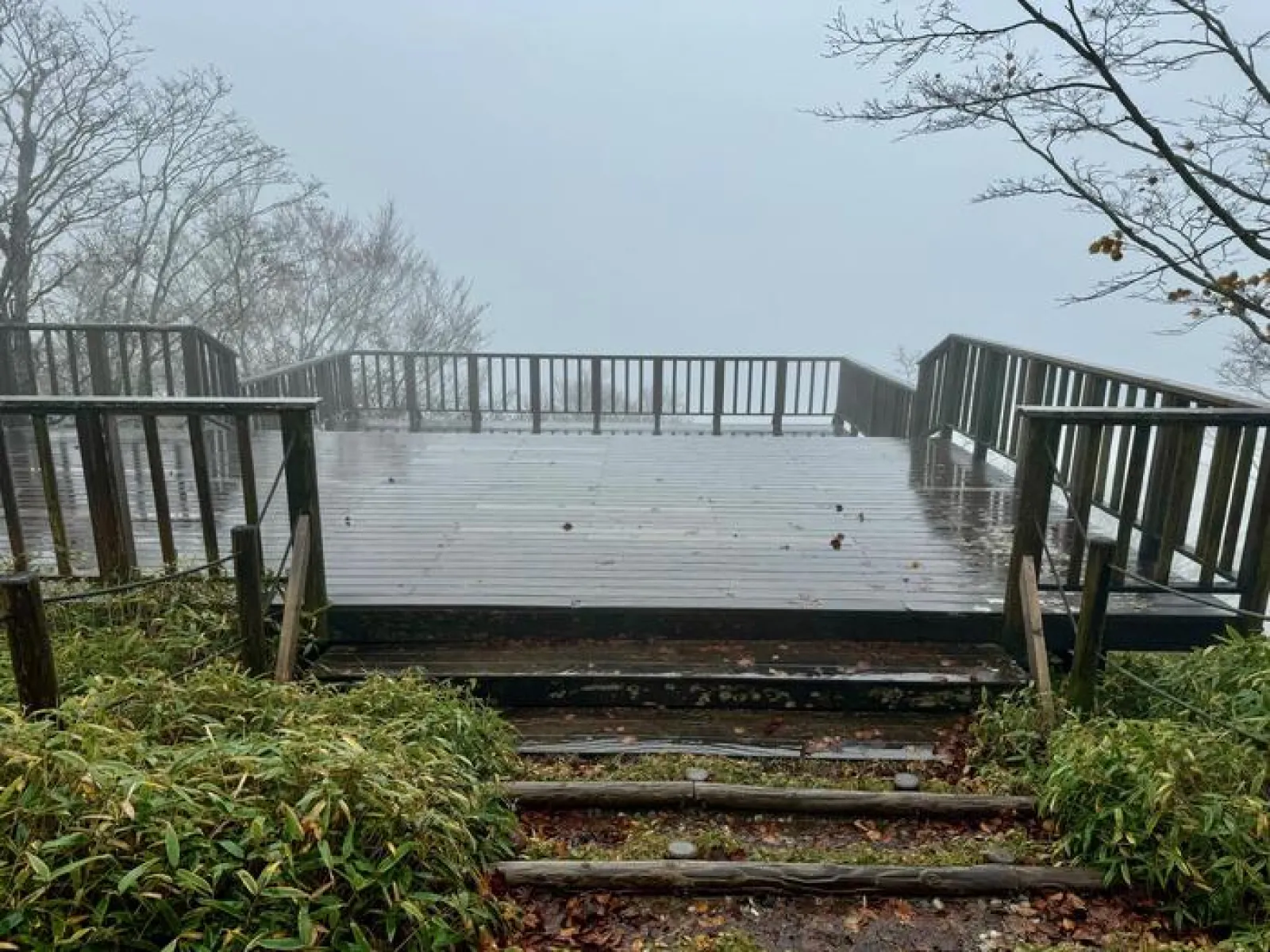 大台ヶ原山　登山道　展望台