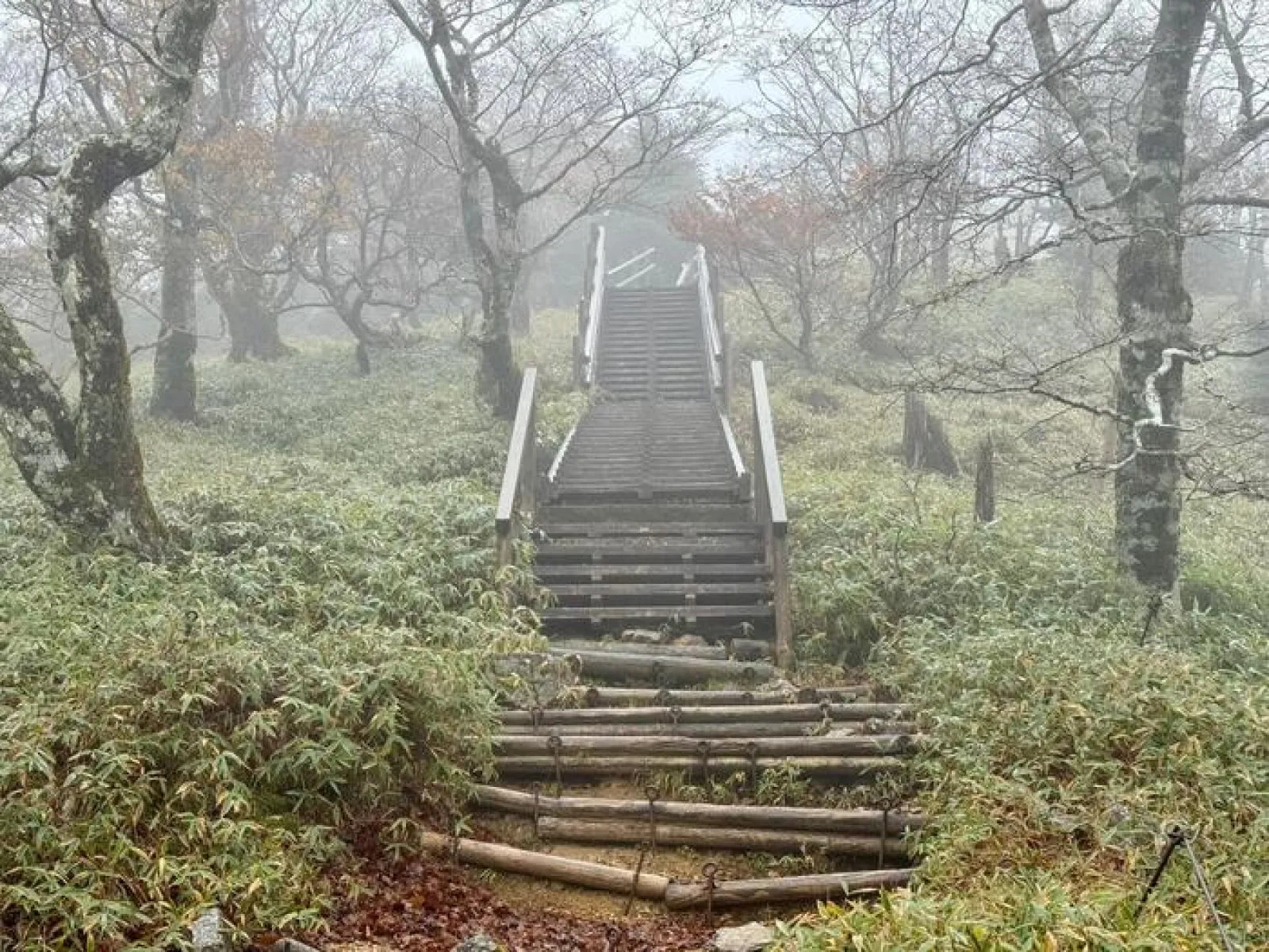 大台ヶ原山　登山道