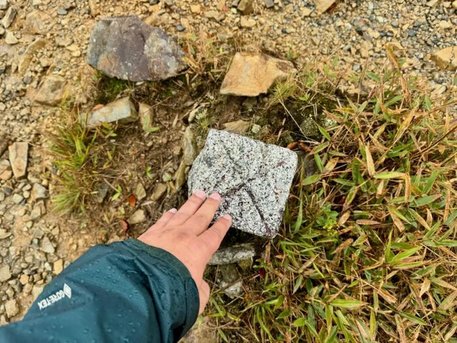 大台ヶ原山　登山道　山頂