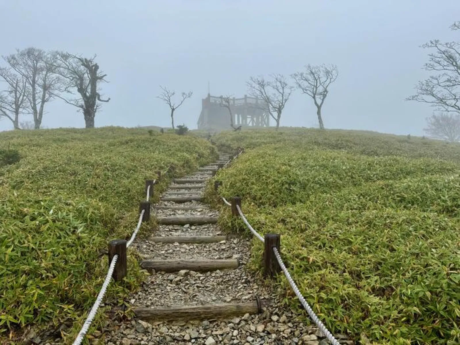 大台ヶ原山　登山道