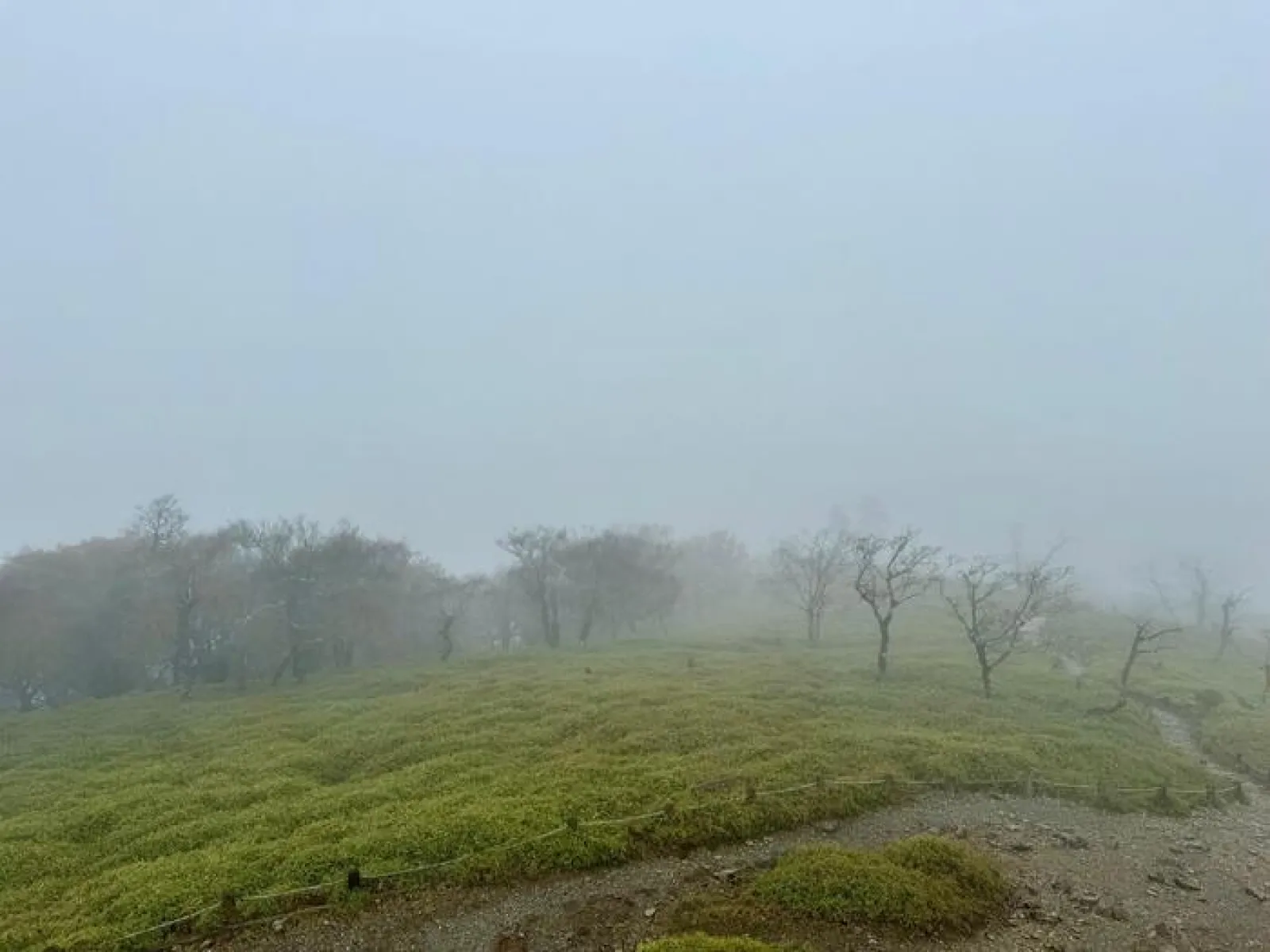 大台ヶ原山　登山道　山頂