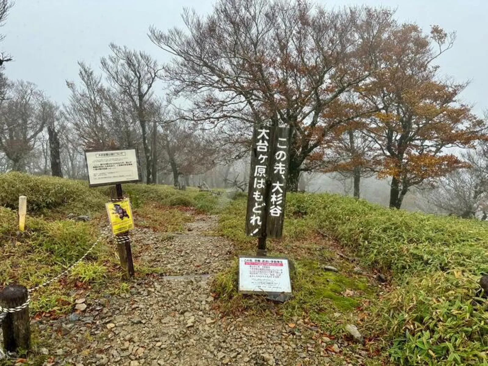 大台ヶ原山　登山道　山頂
