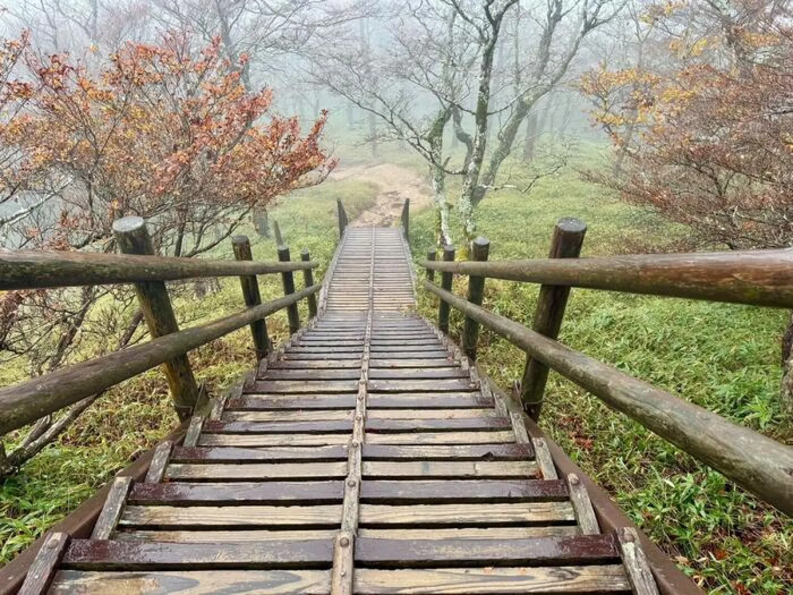 大台ヶ原山　登山道