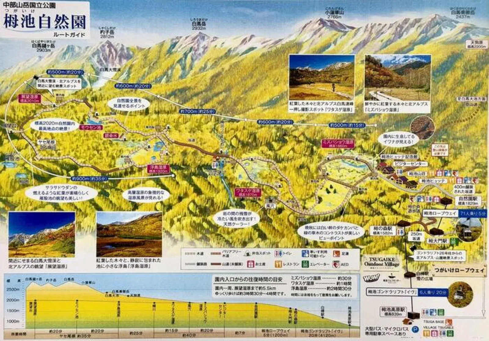 栂池自然園　案内図