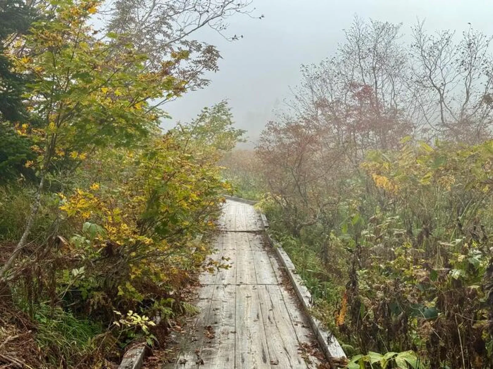 栂池自然園