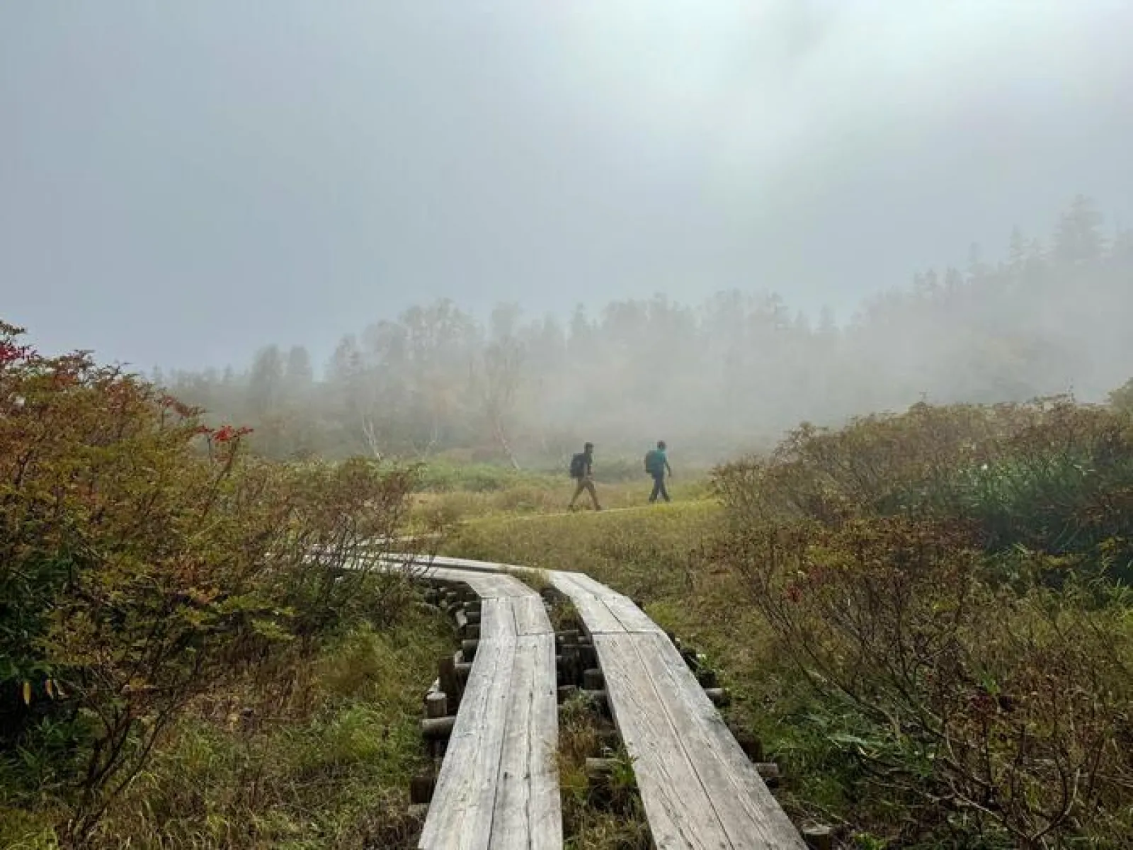 栂池自然園