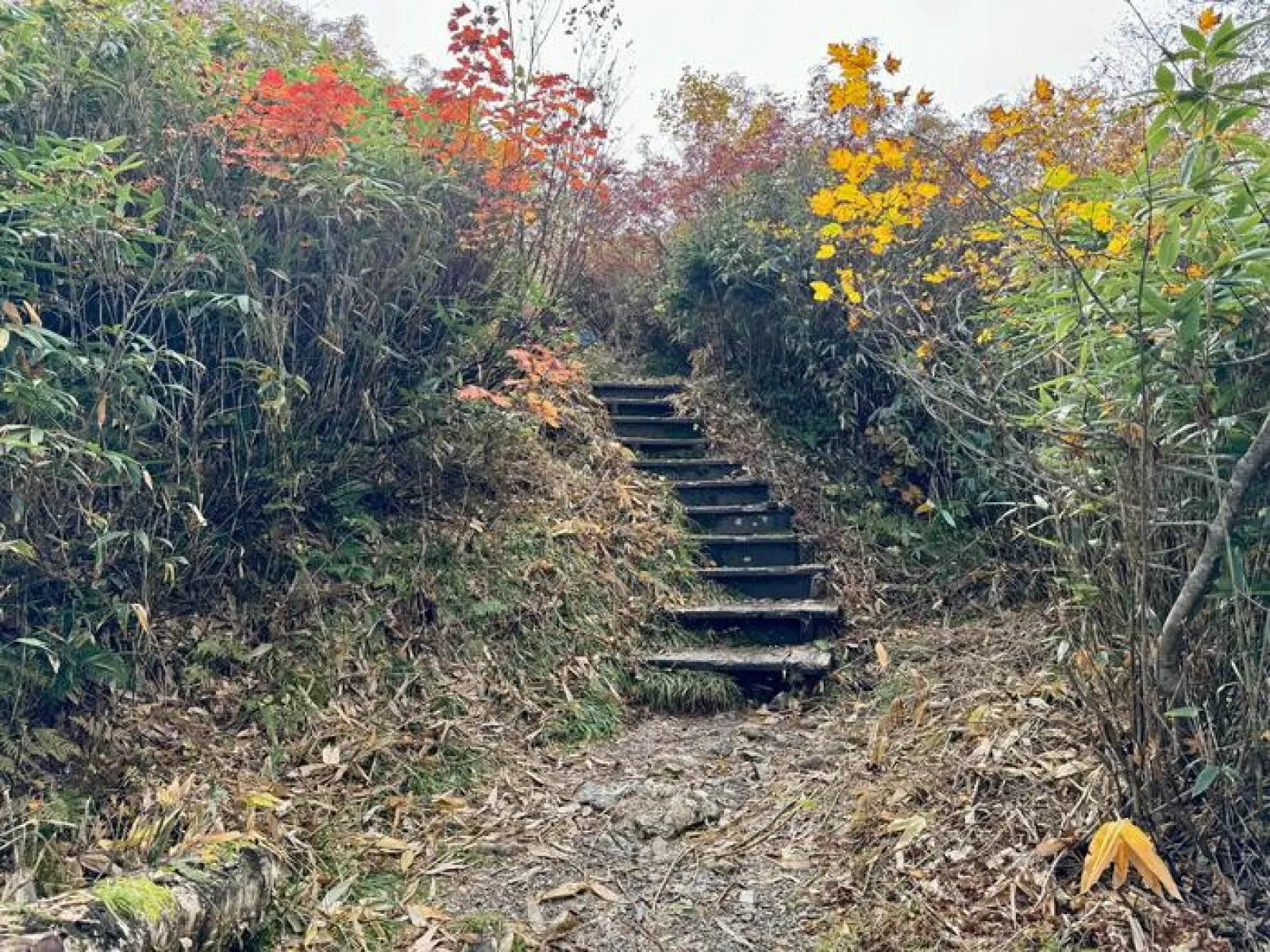 栂池自然園