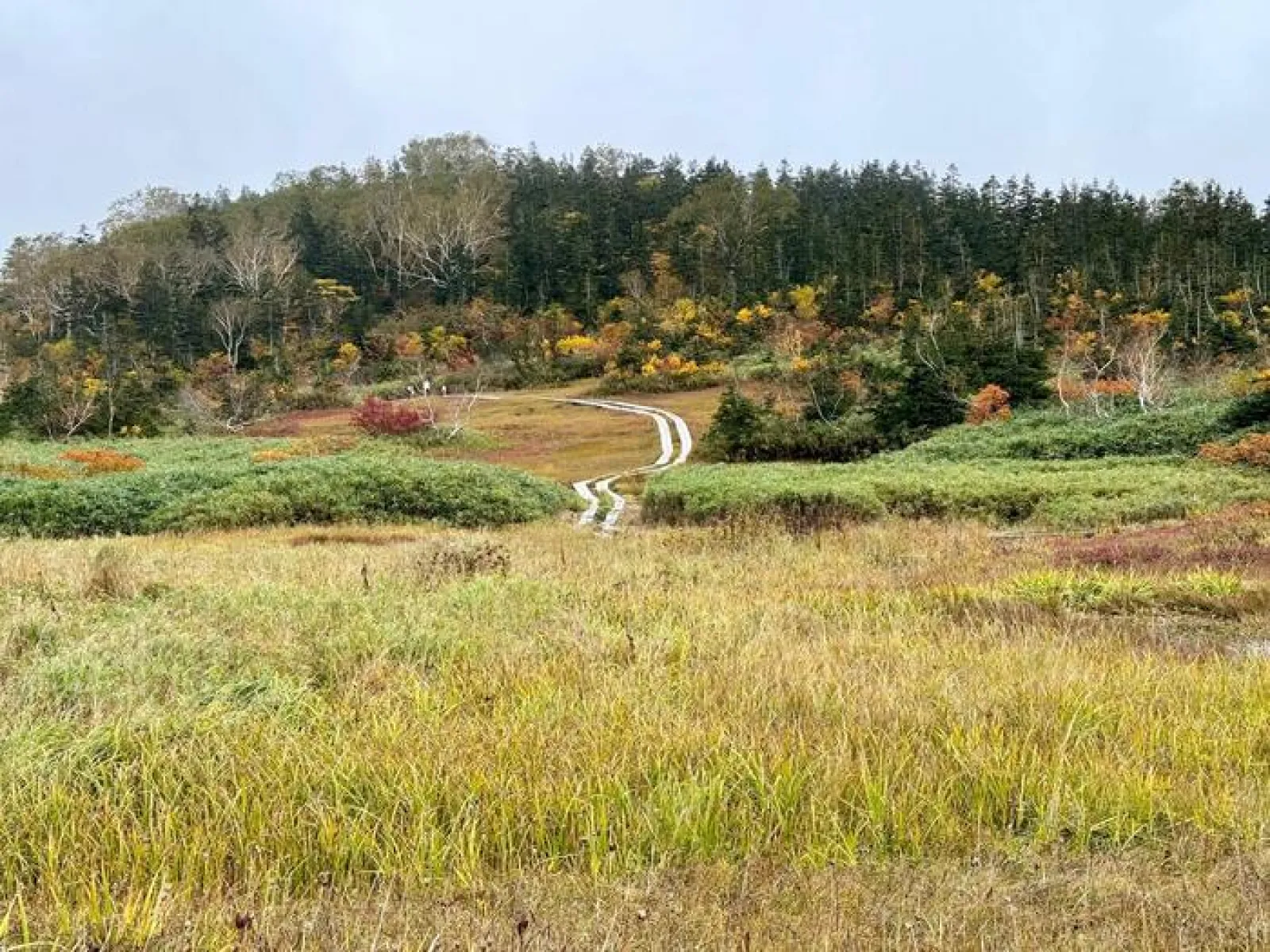栂池自然園