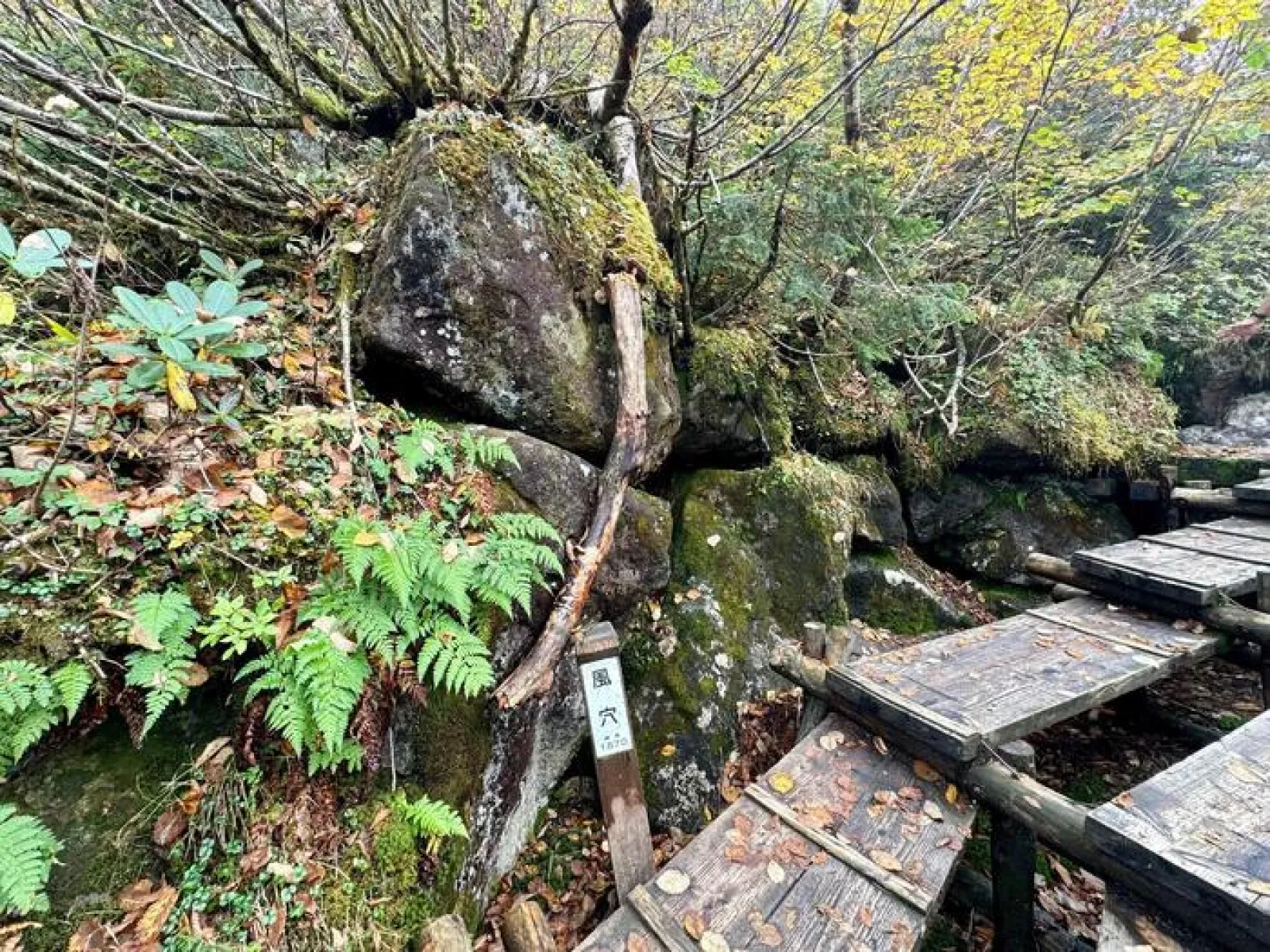 栂池自然園　風穴