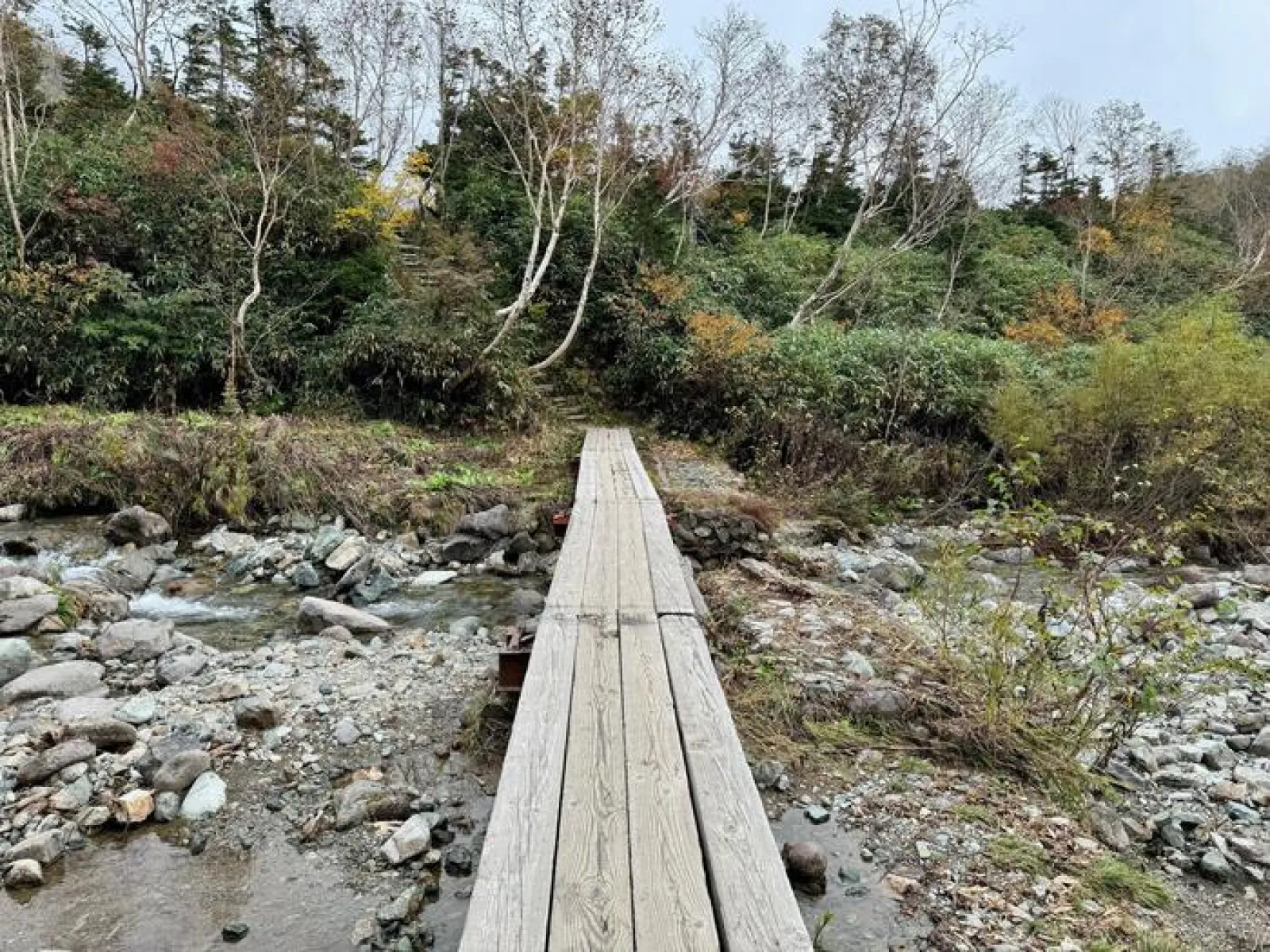 栂池自然園