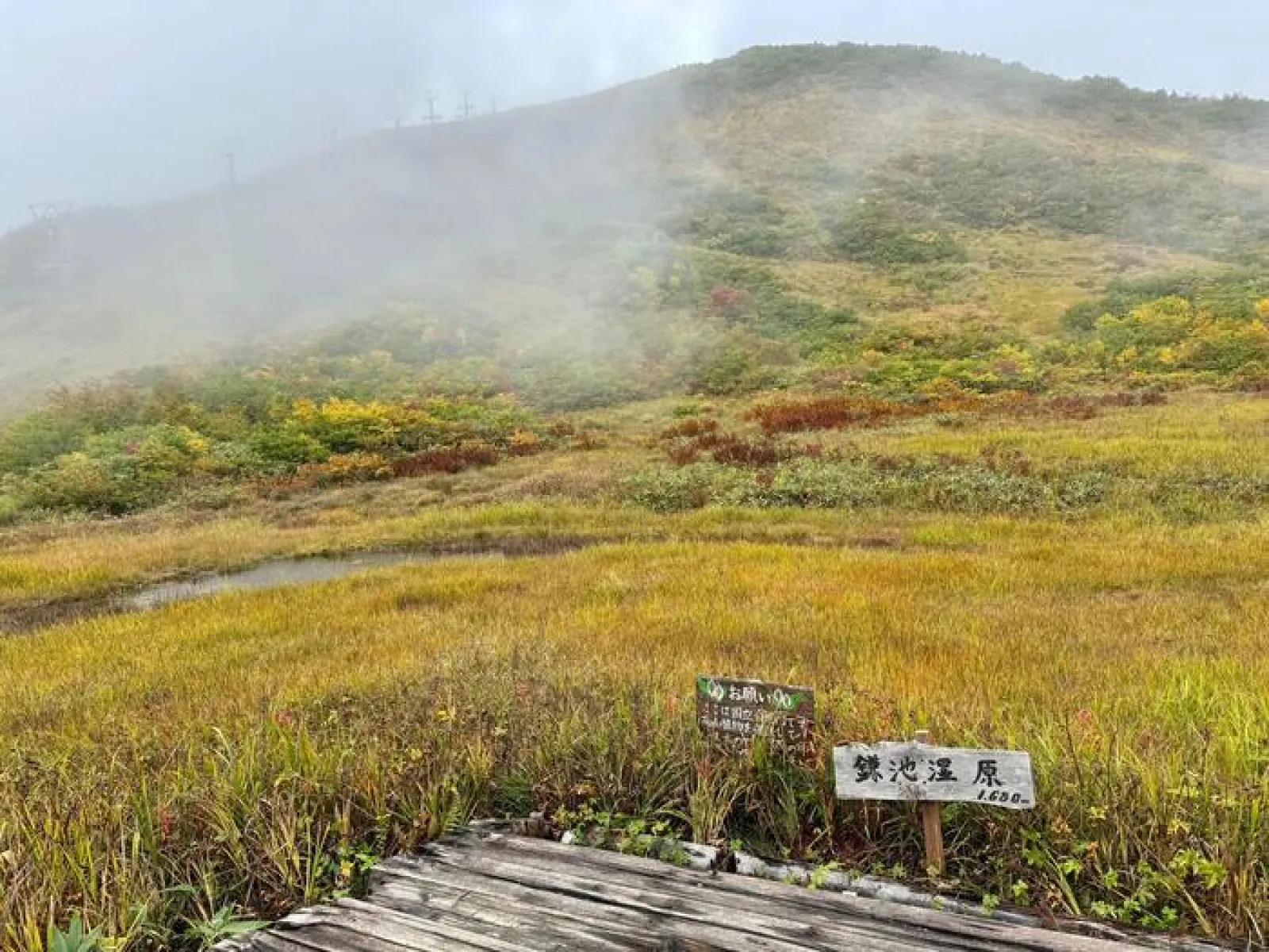 八方　鎌池湿原