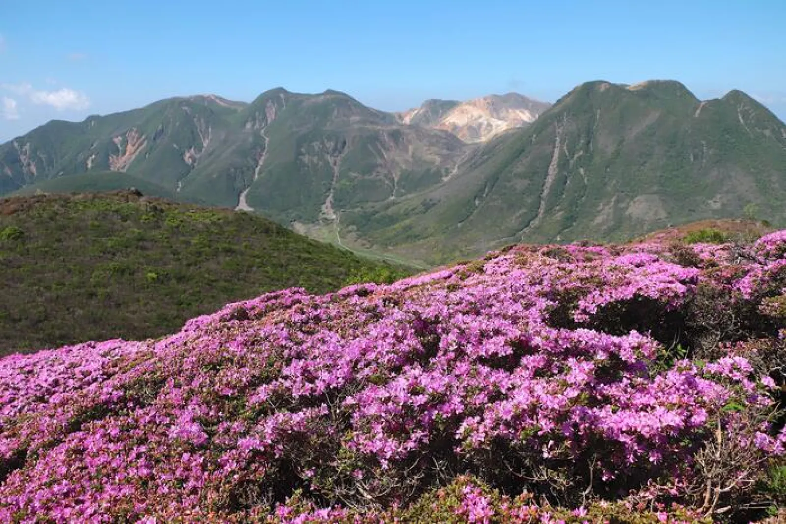 平治岳（ひいじだけ、標高1,643m）や大船山（だいせんざん、標高1,786m）も見逃せない名峰