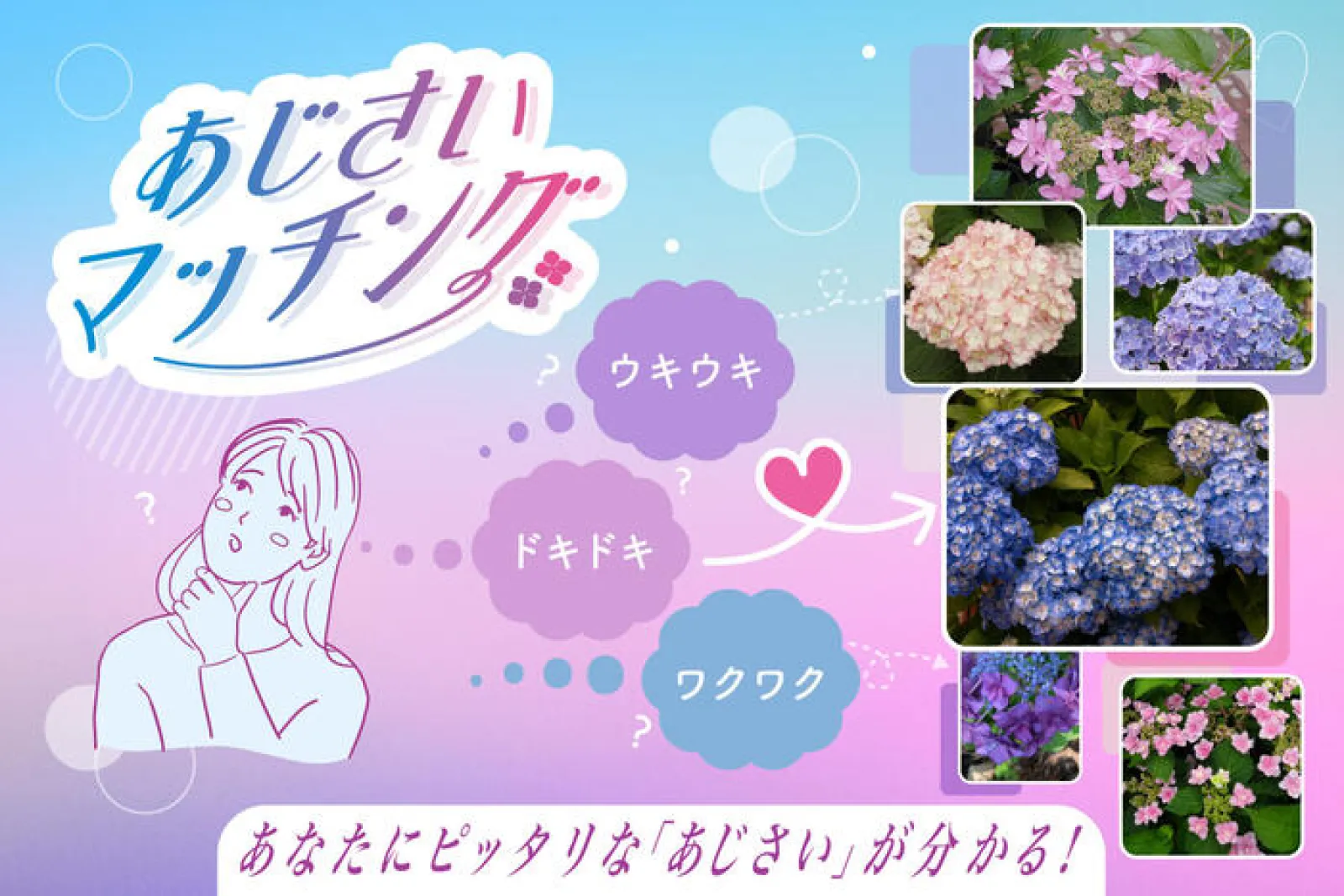 12三島スカイウォーク_あじさい祭_あじさいマッチング