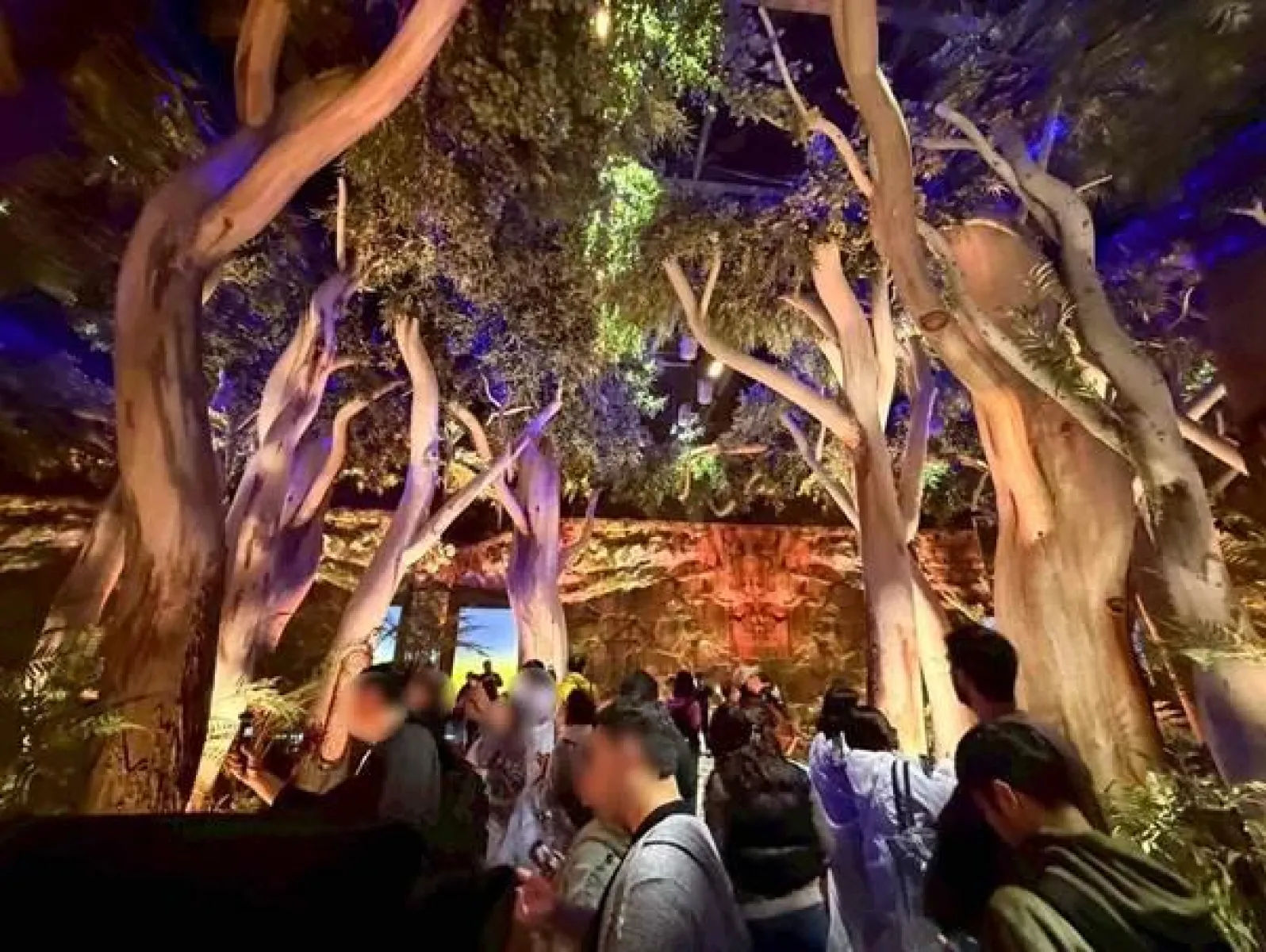 大阪・関西万博　オーストラリアパビリオン展示「Chasing the Sun ― 太陽の大地へ」