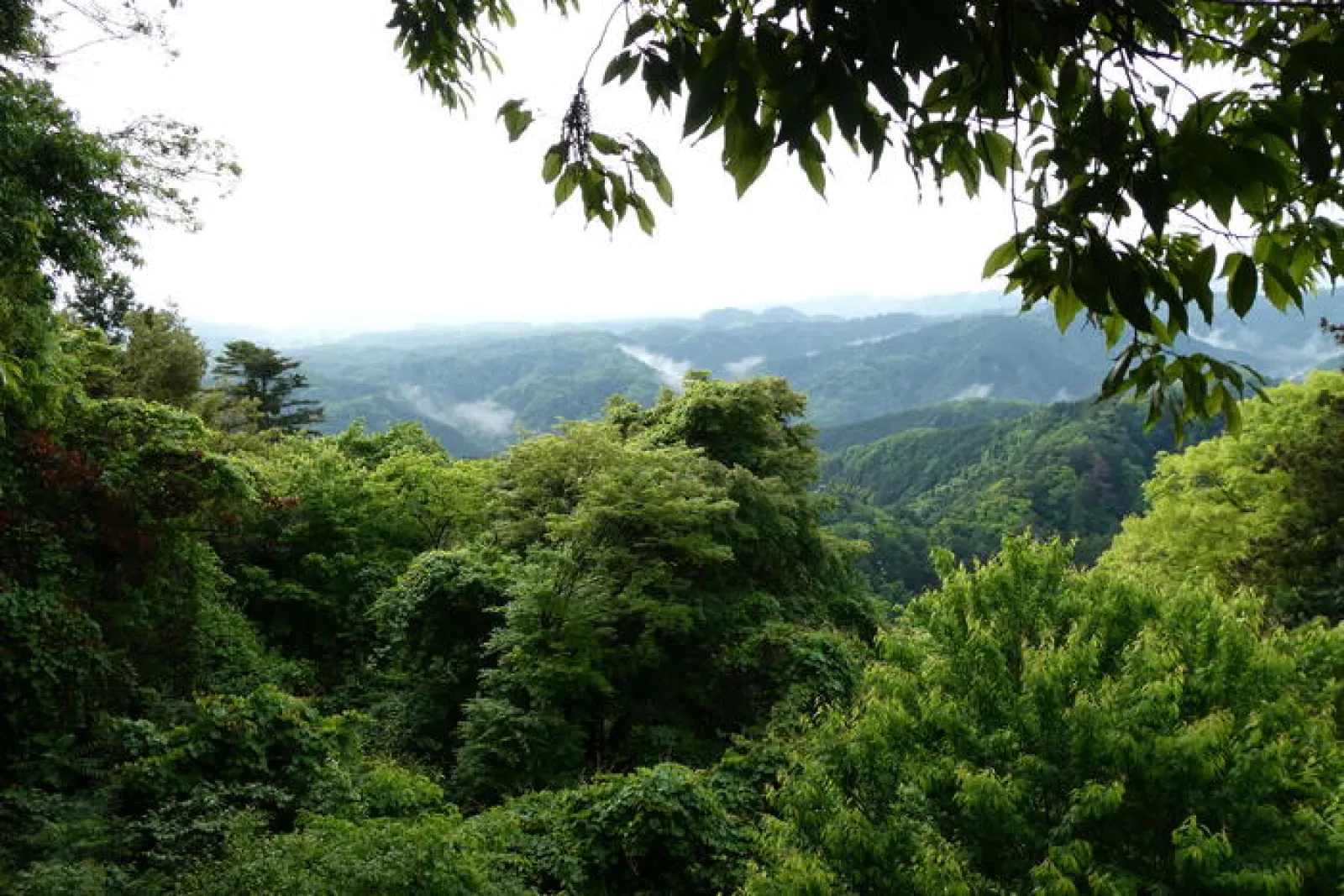 展望の開けた「かすみ台展望台」