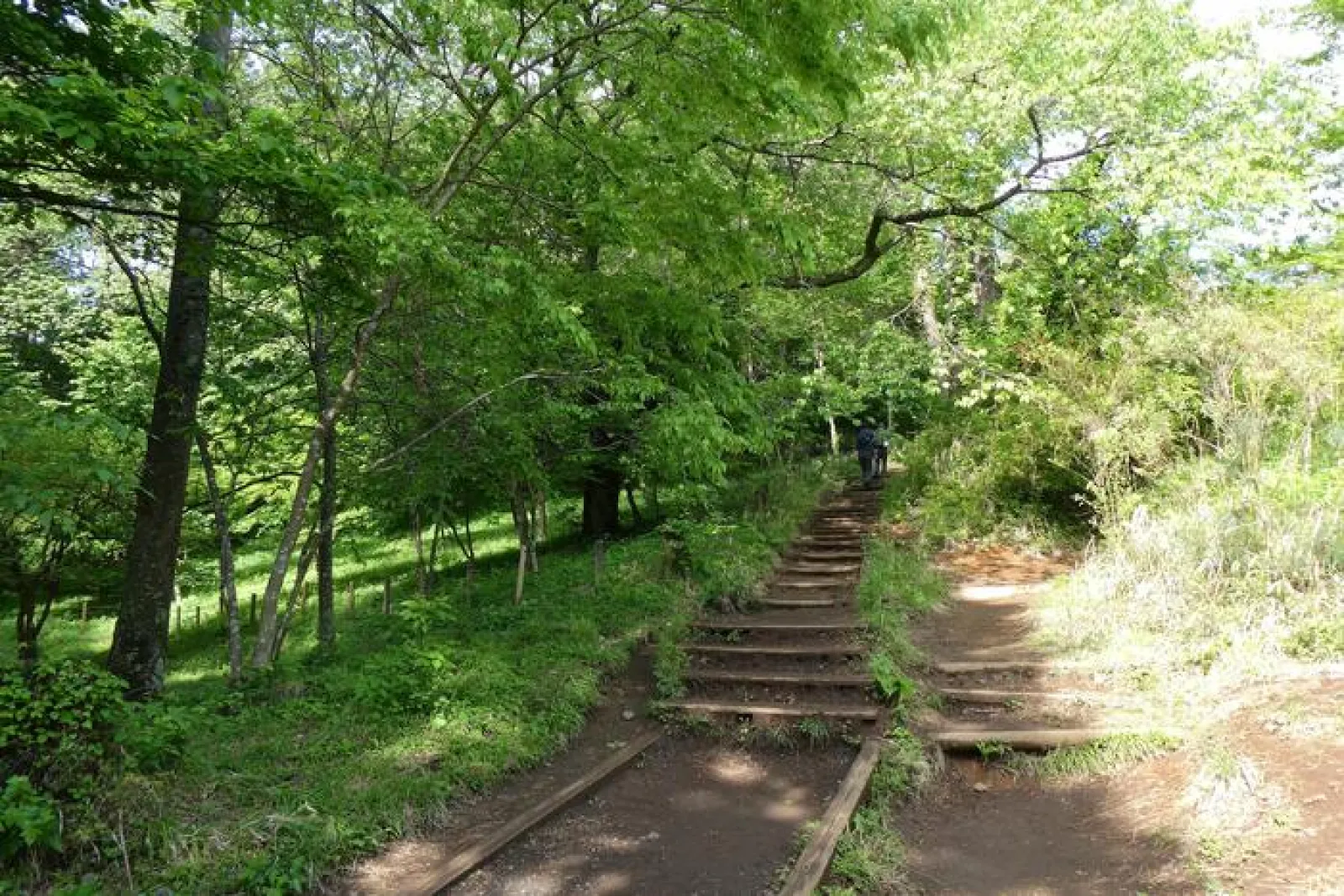 尾根伝いに複数の山を越えていく人気のロングトレイル