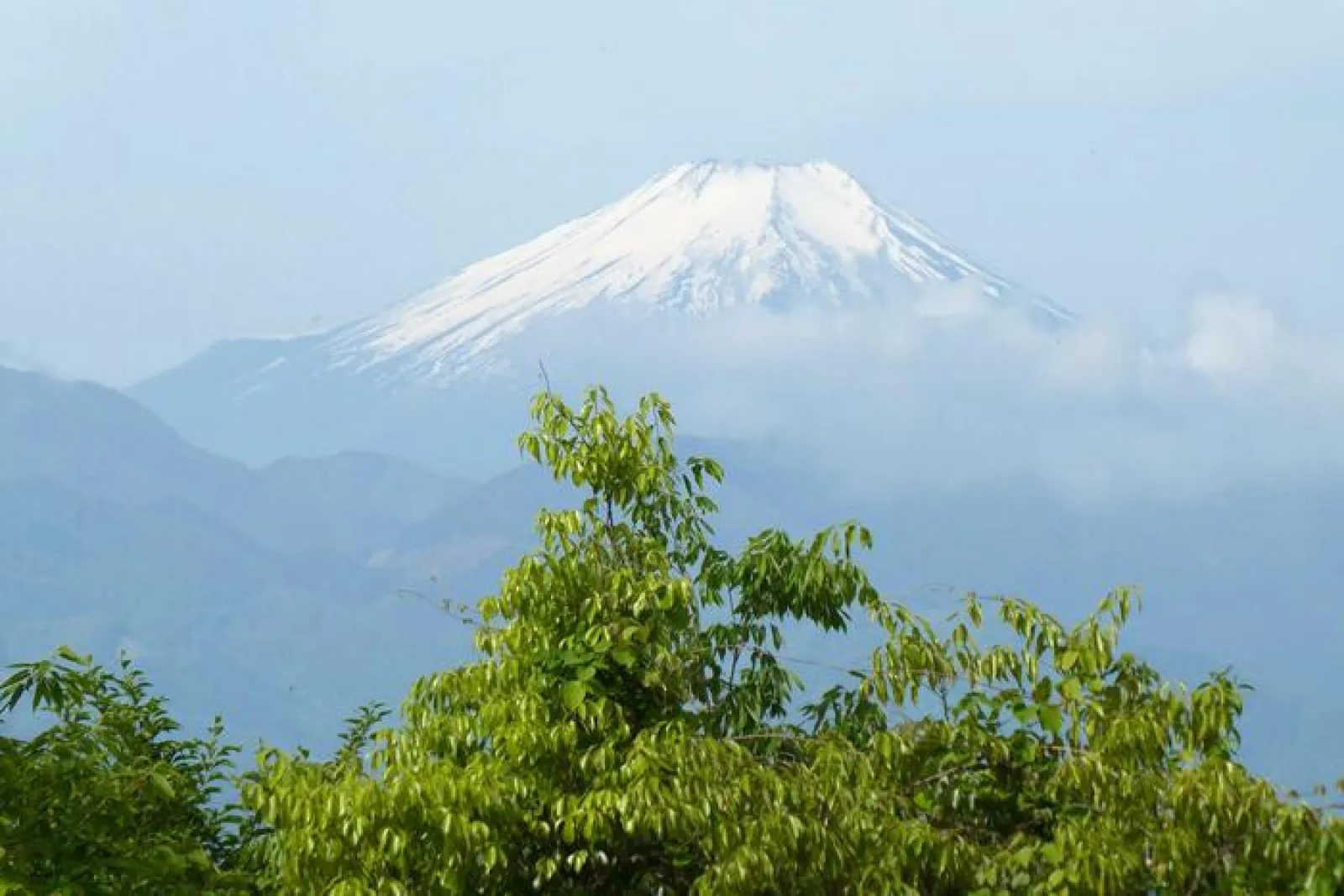 木々の間からは相模湖や奥多摩の山々が望め、晴れた日には富士山
