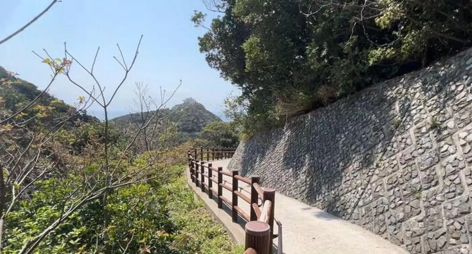 佐多岬駐車場脇道