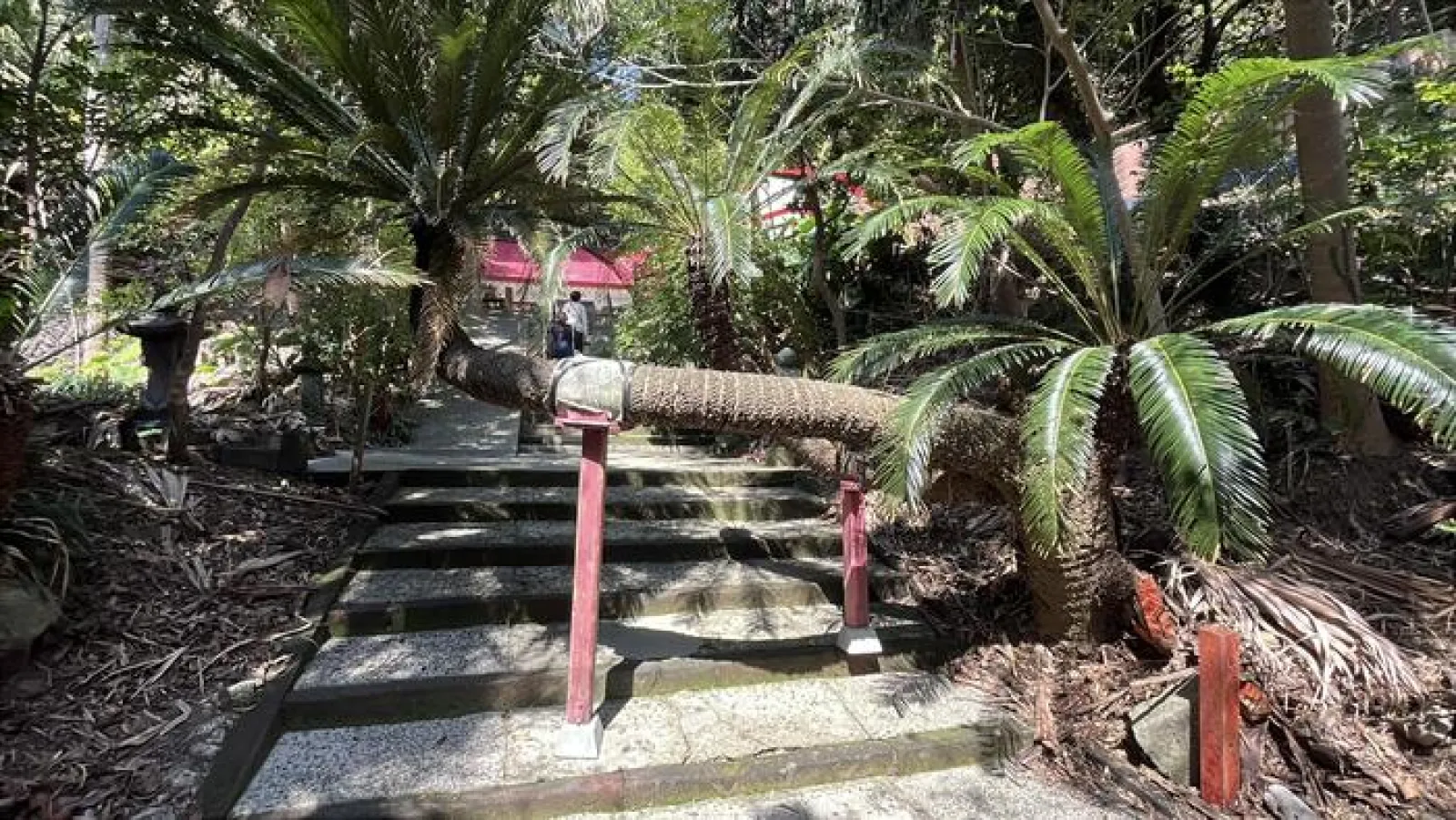 本土最南端の神社、御崎神社