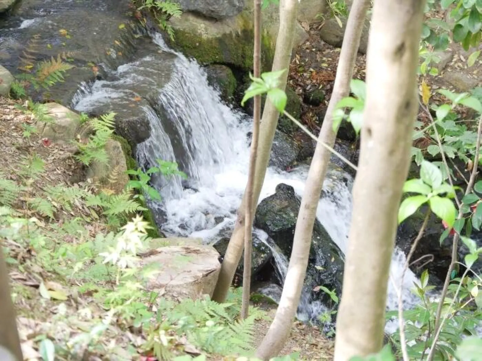 花交の滝