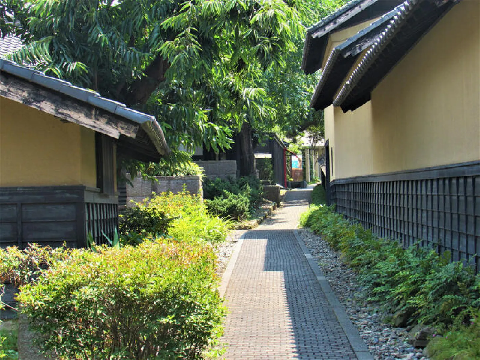 小布施の小道　夏